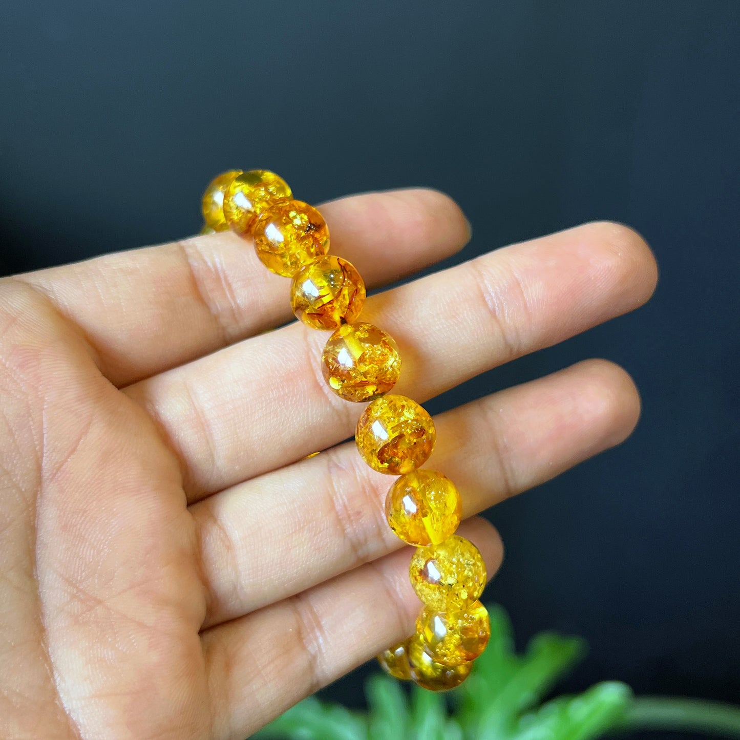 Natural Amber Fossil Bracelet Size 10 mm