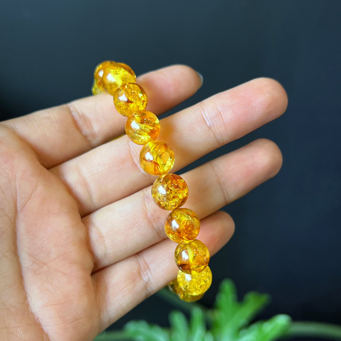Natural Amber Fossil Bracelet Size 10 mm