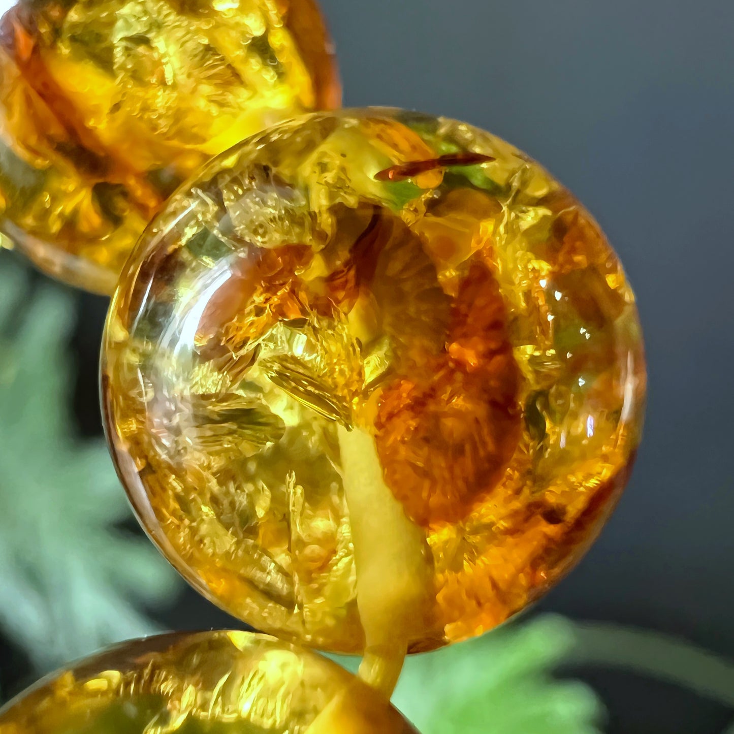 Natural Amber Fossil Bracelet Size 10 mm