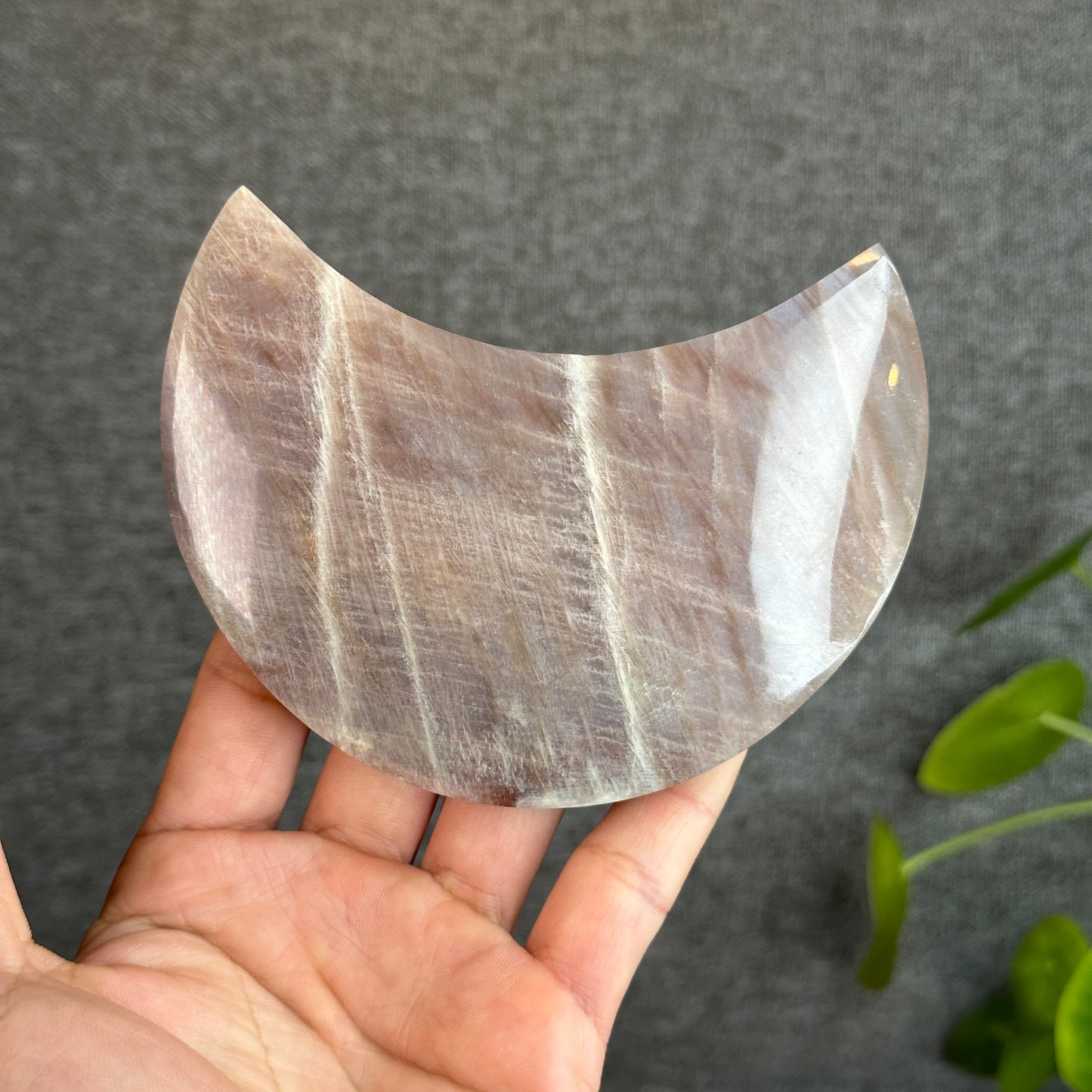 Natural Brown Moonstone Moon