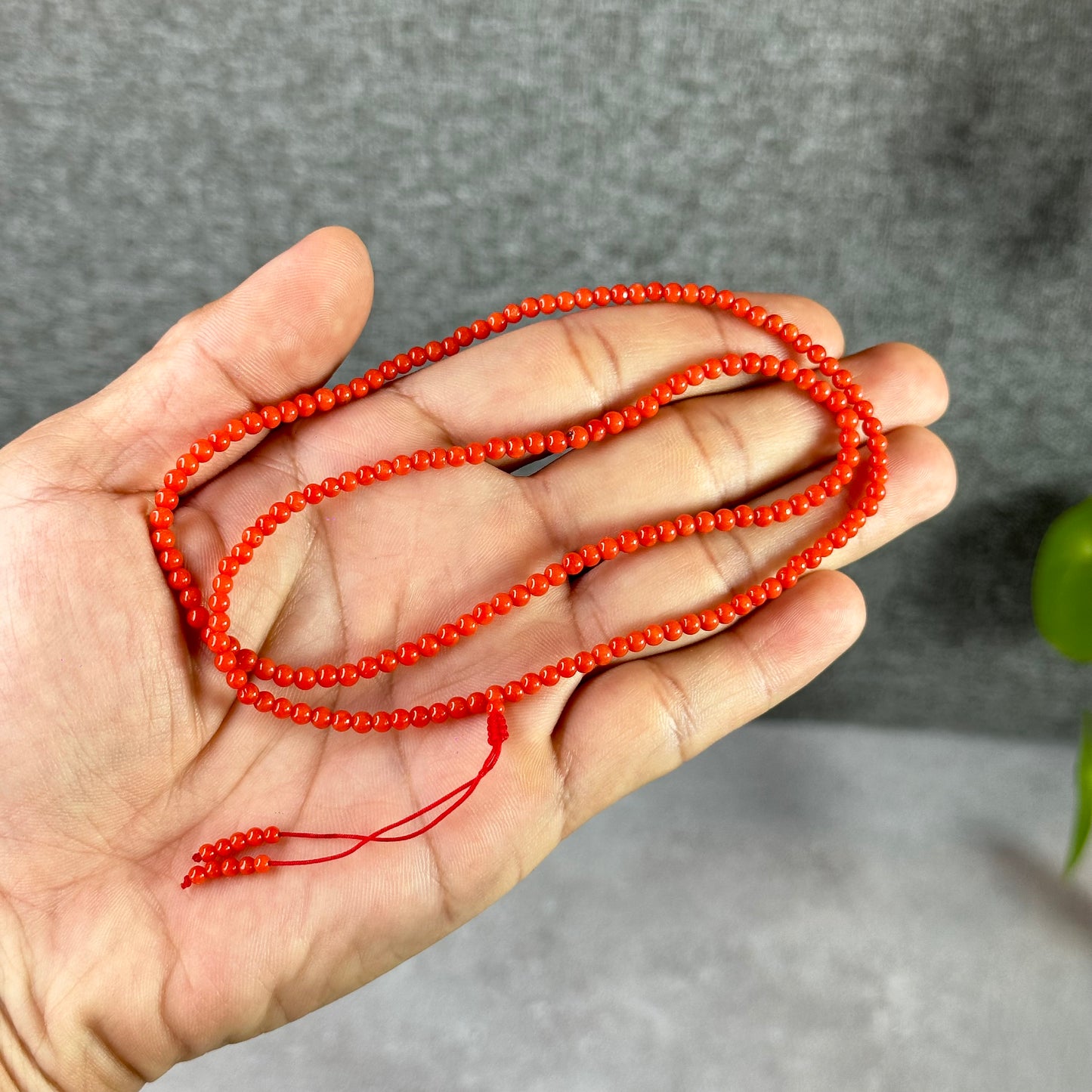 Natural Coral Necklace Size 3 mm