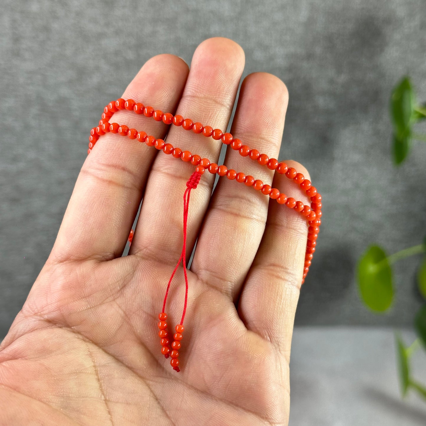 Natural Coral Necklace Size 3 mm