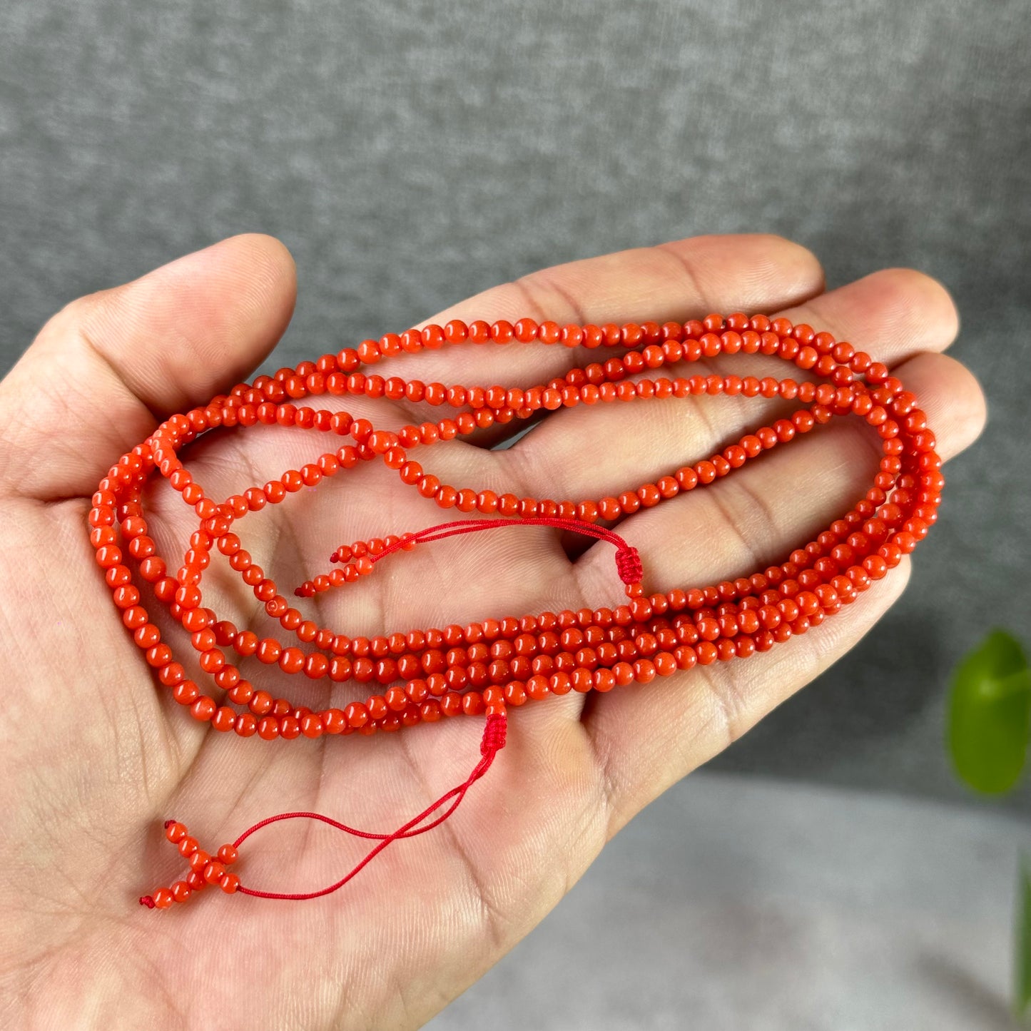 Natural Coral Necklace Size 3 mm