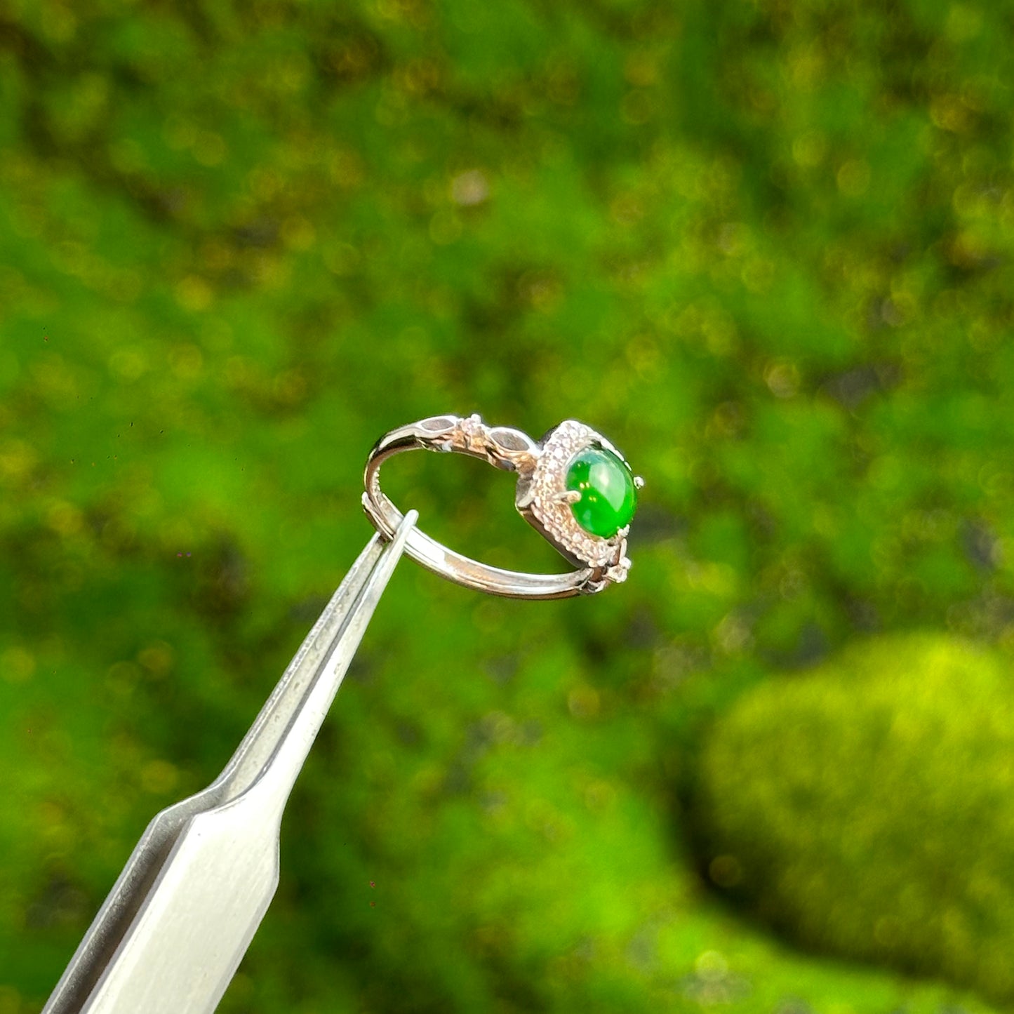 Square Infinity Icy Imperial Green Natural Jadeite Jade Ring Free Size in Silver 925 Setting