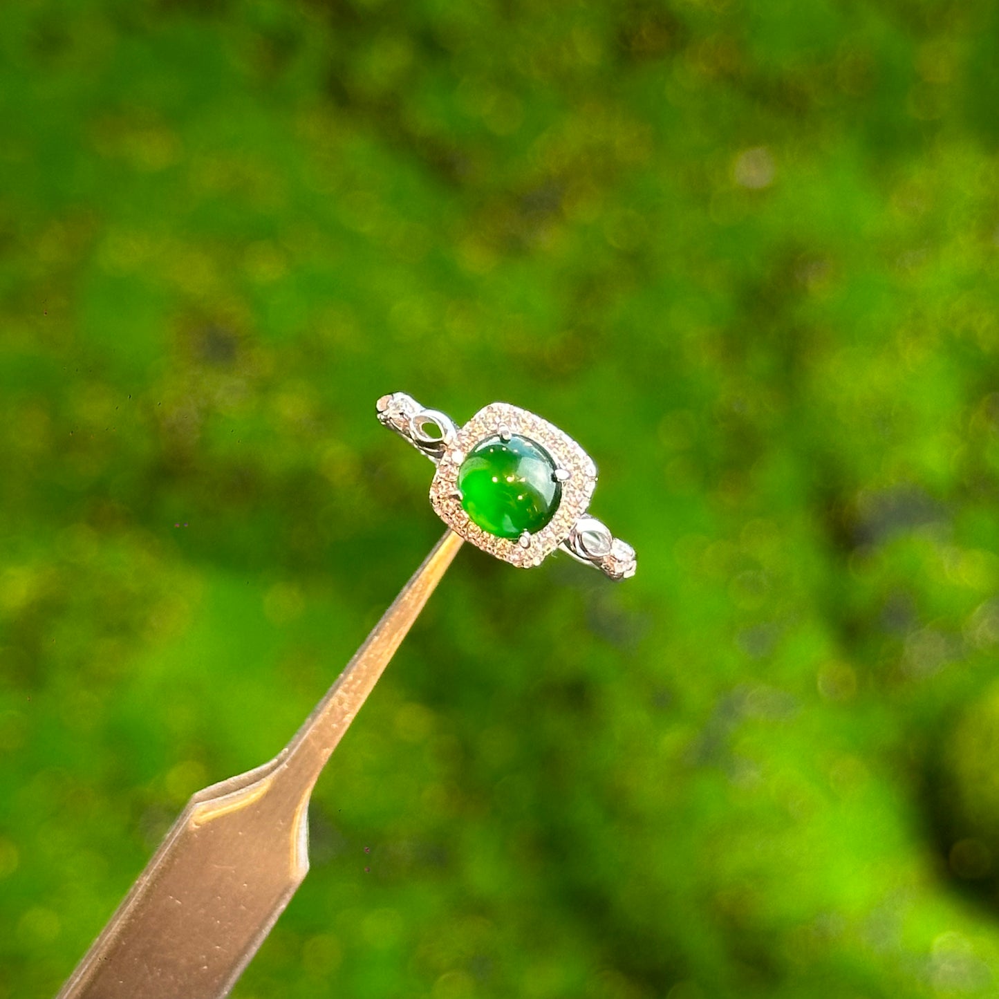 Square Infinity Icy Imperial Green Natural Jadeite Jade Ring Free Size in Silver 925 Setting
