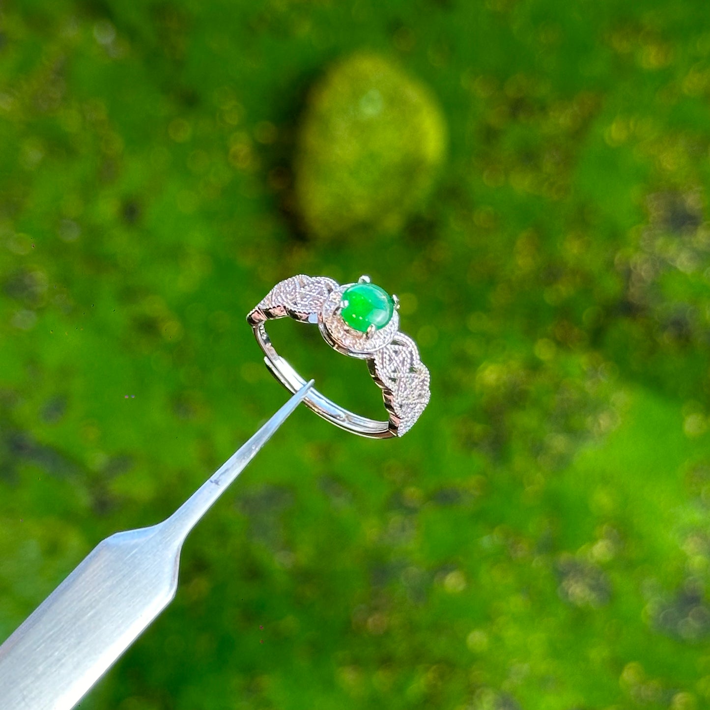 Jade of Green Blessings Bundle - 2