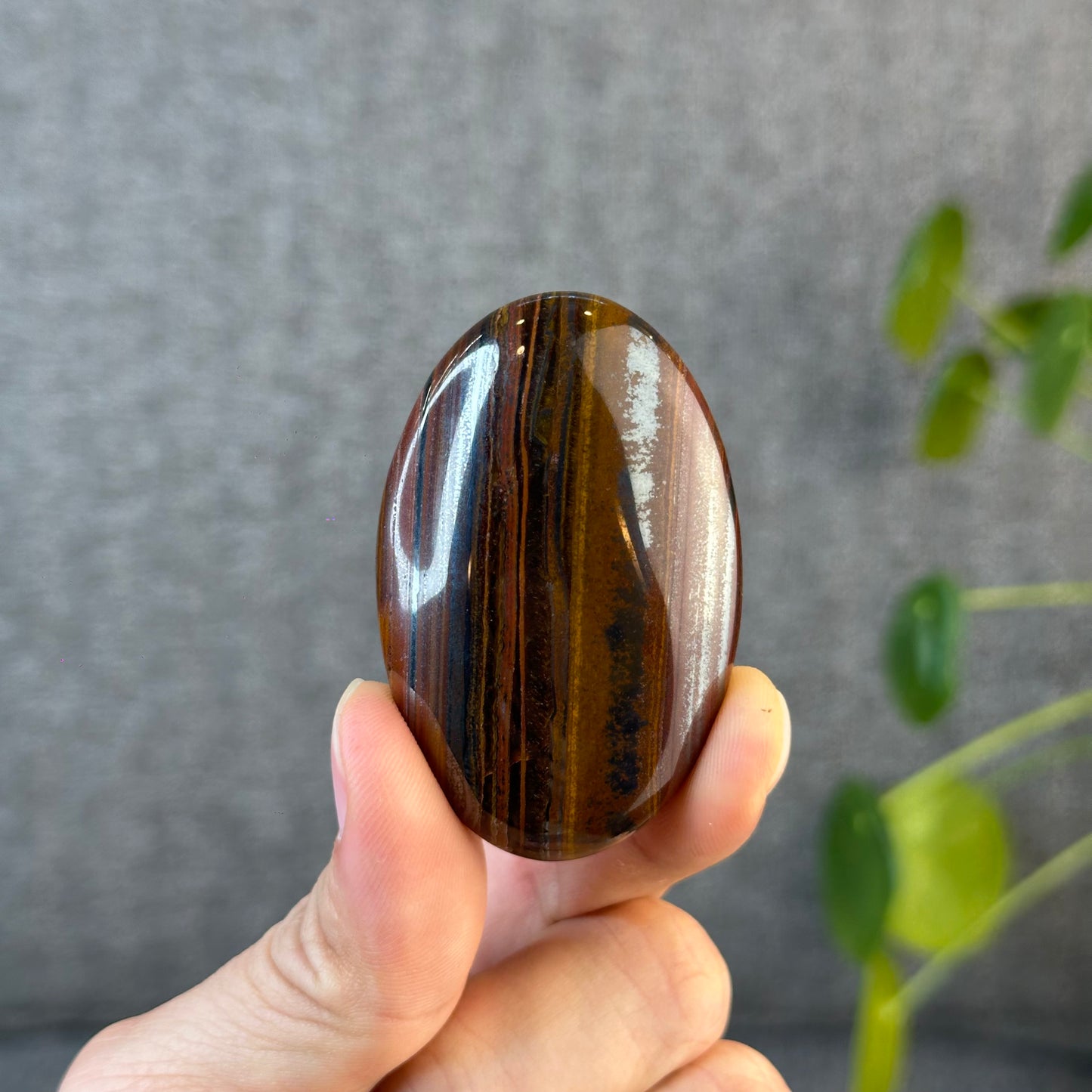 Red Titan Natural Tiger Eye Palm Stone