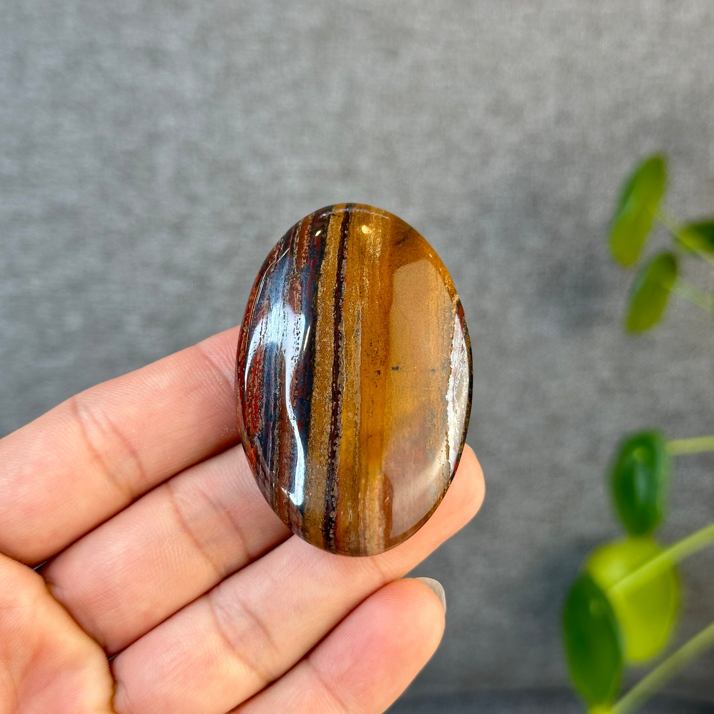 Red Titan Natural Tiger Eye Palm Stone