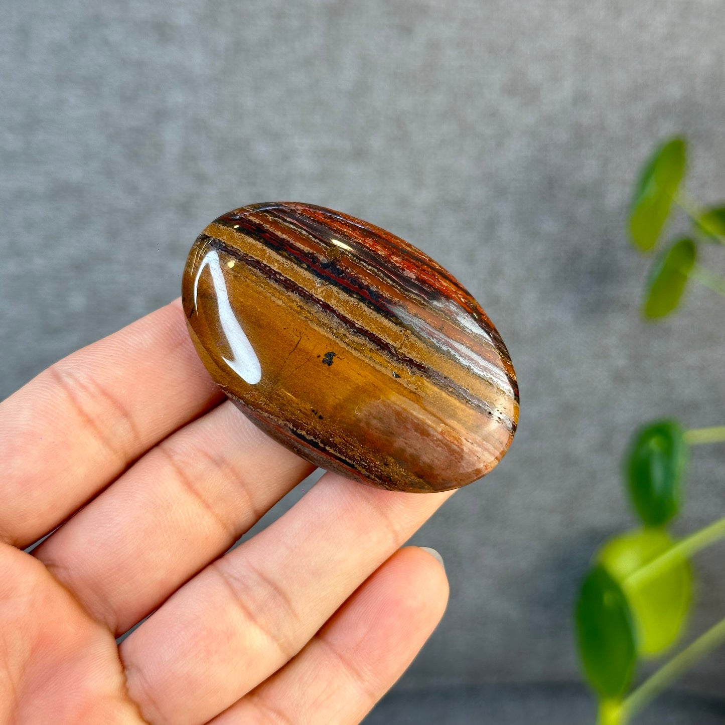 Red Titan Natural Tiger Eye Palm Stone