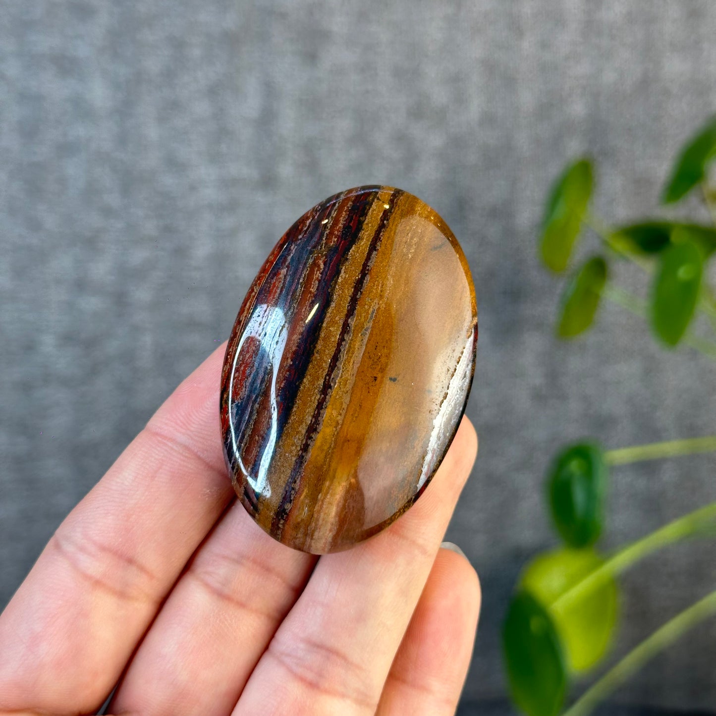 Red Titan Natural Tiger Eye Palm Stone