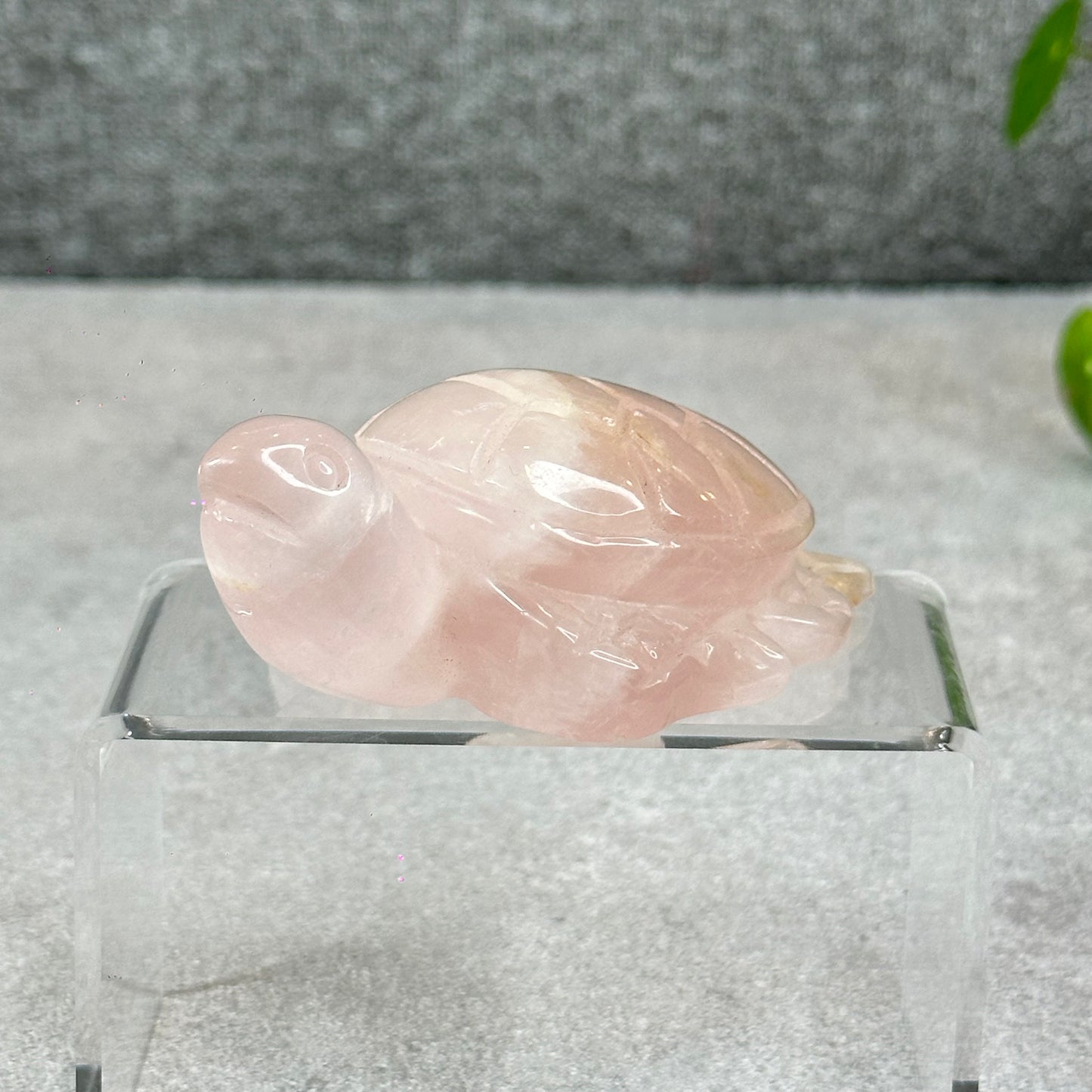 Natural Rose Quartz Turtle