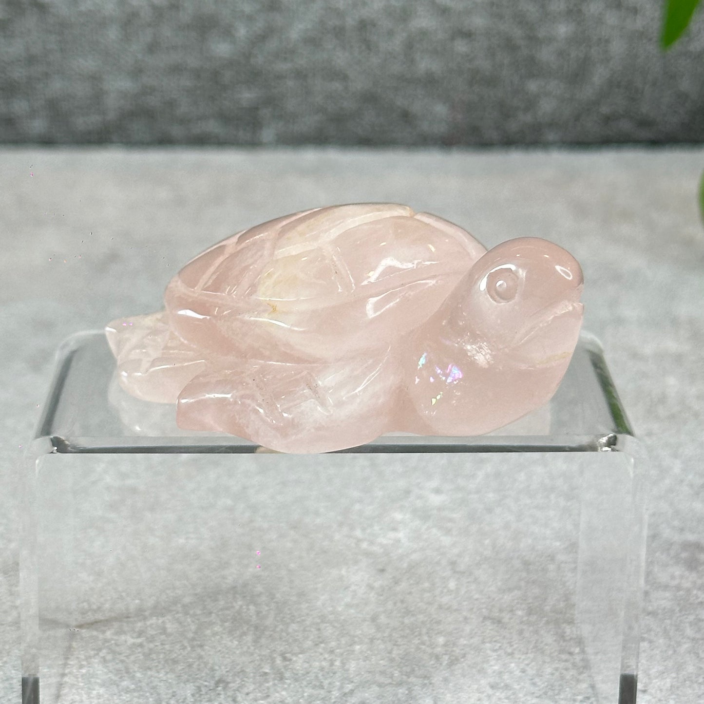 Natural Rose Quartz Turtle