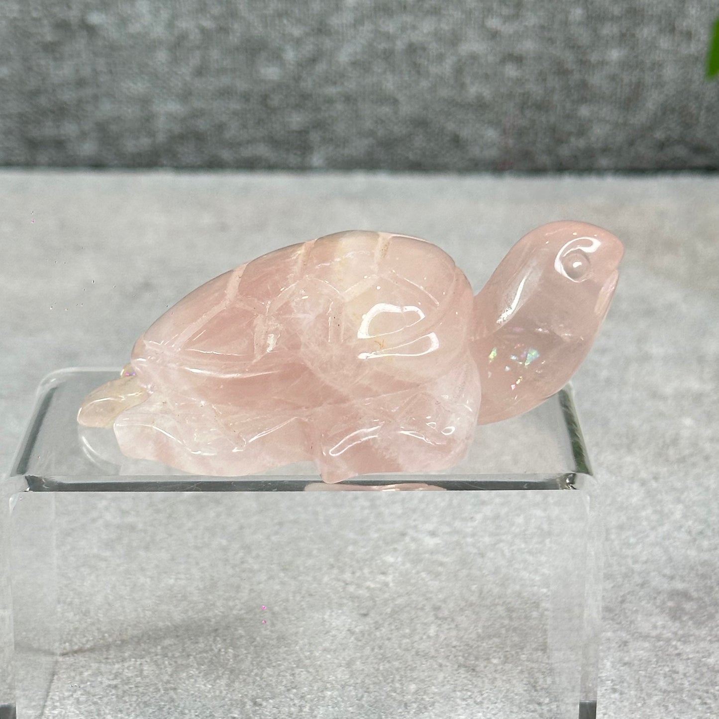 Natural Rose Quartz Turtle