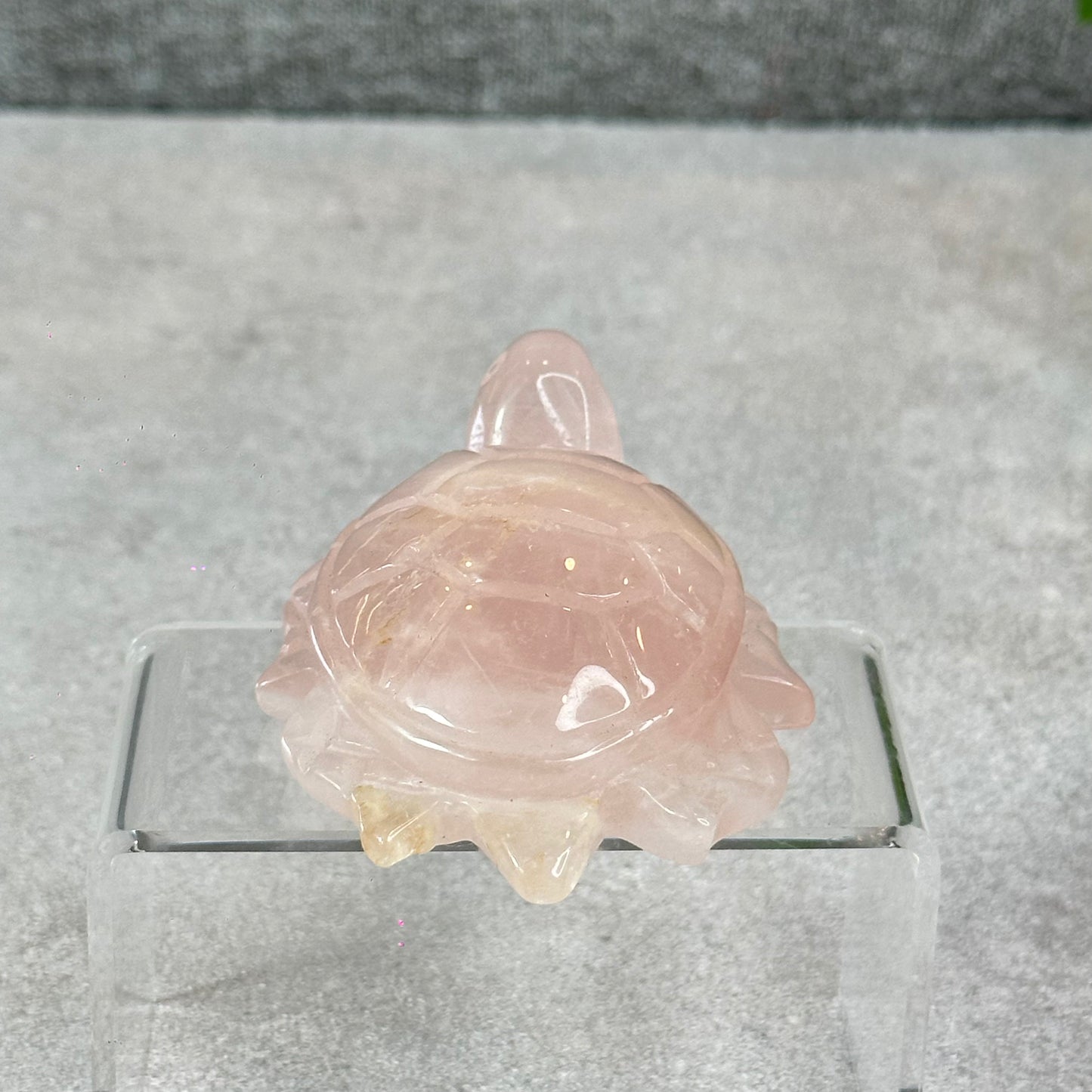 Natural Rose Quartz Turtle
