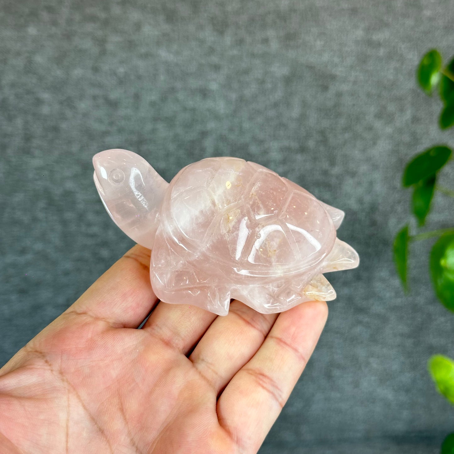 Natural Rose Quartz Turtle