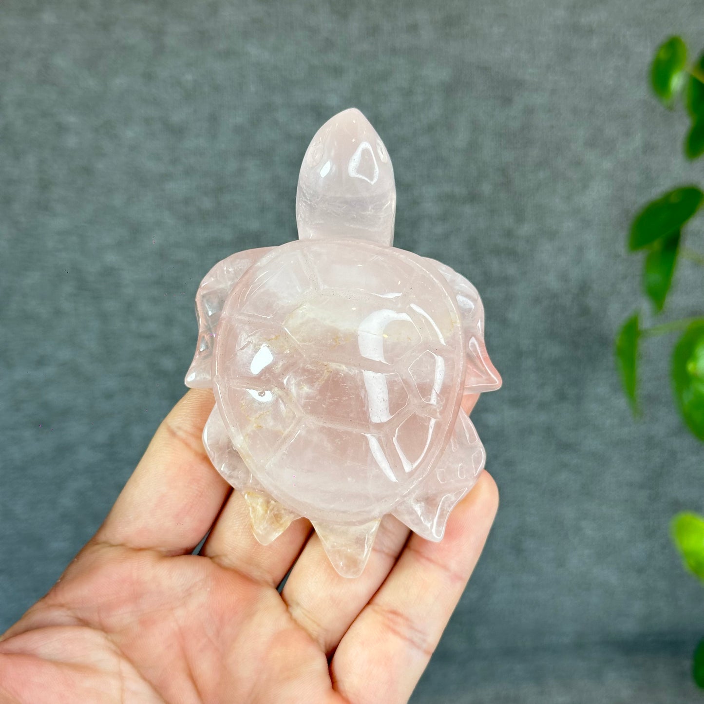 Natural Rose Quartz Turtle