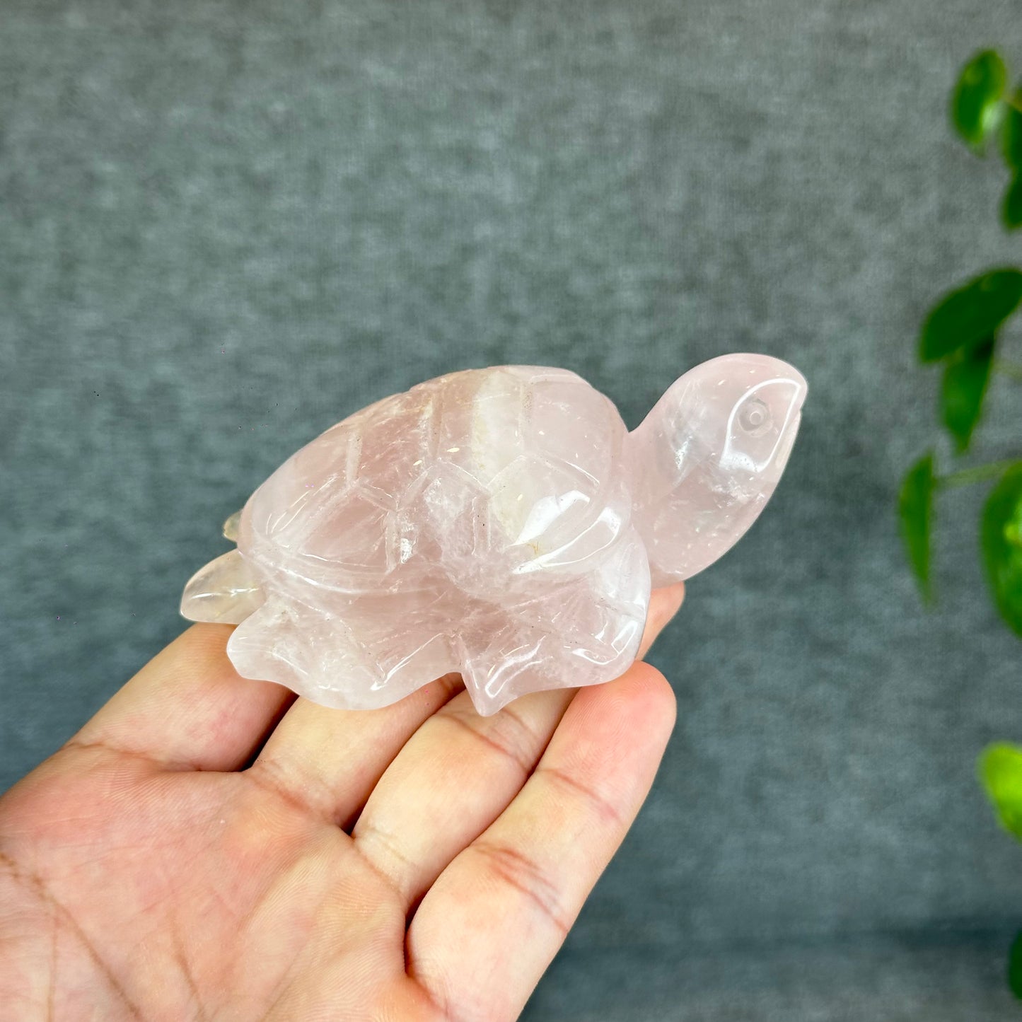 Natural Rose Quartz Turtle