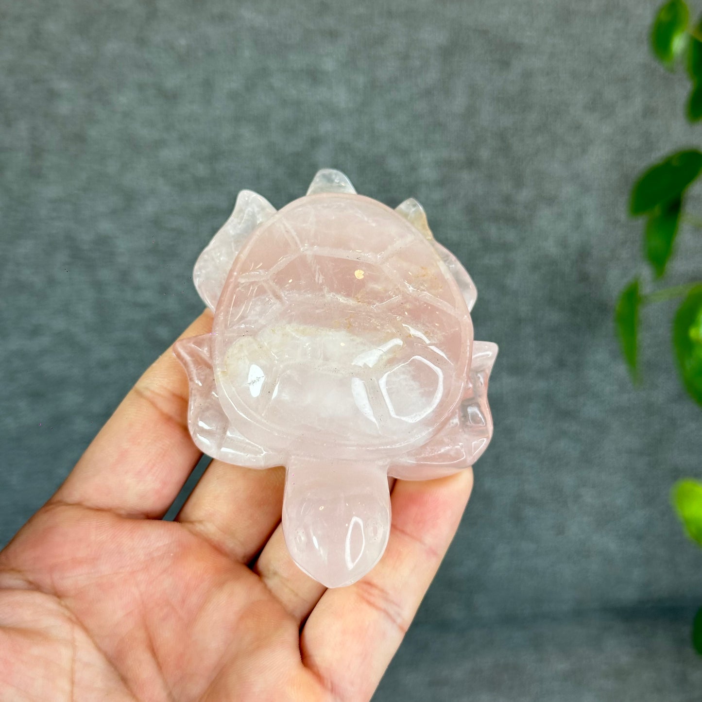 Natural Rose Quartz Turtle
