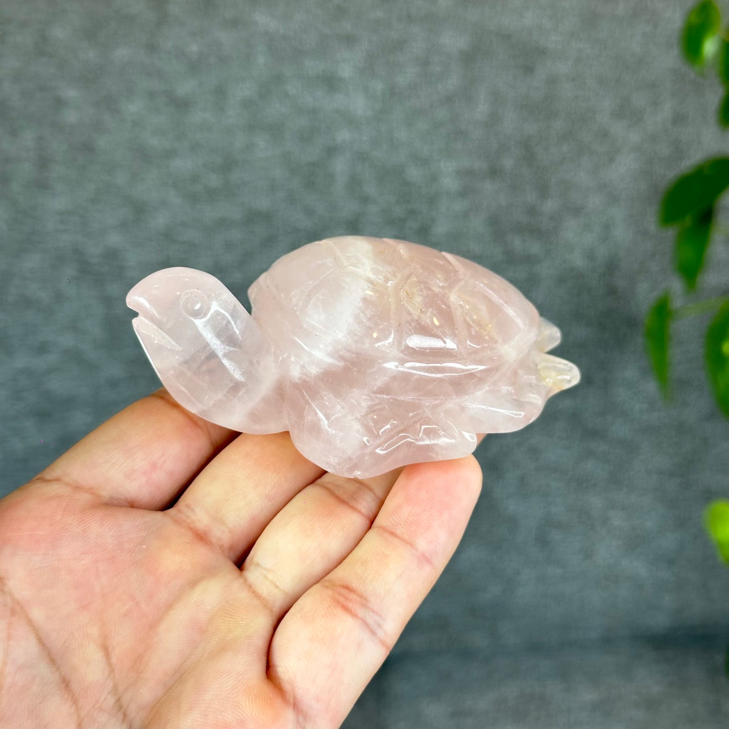 Natural Rose Quartz Turtle