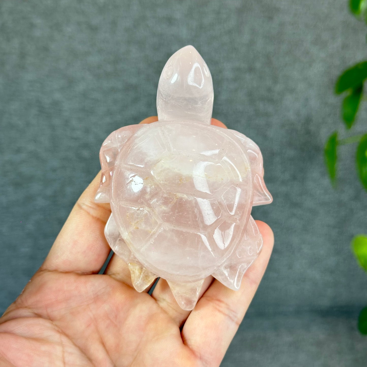 Natural Rose Quartz Turtle