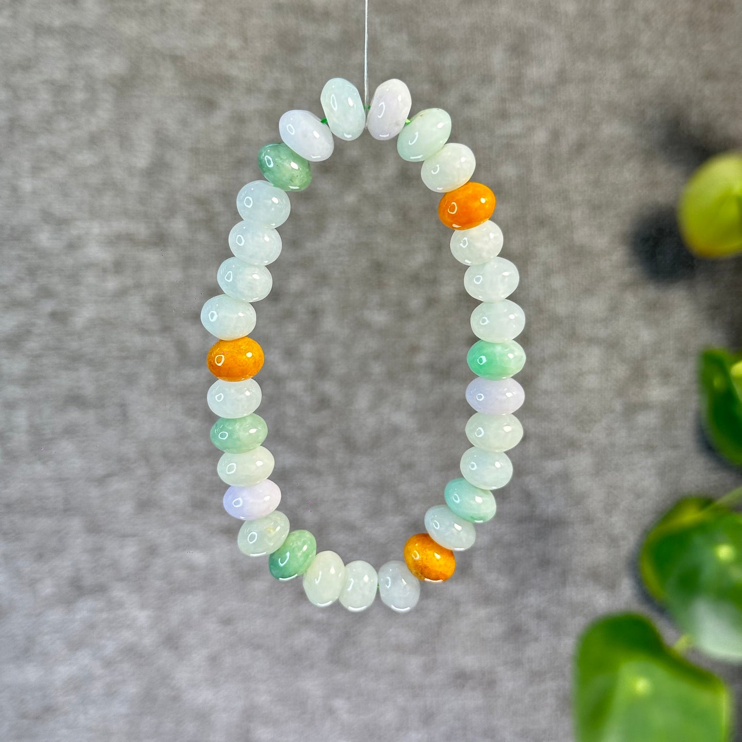 Multi Colour Natural Jadeite Jade VIP Donut