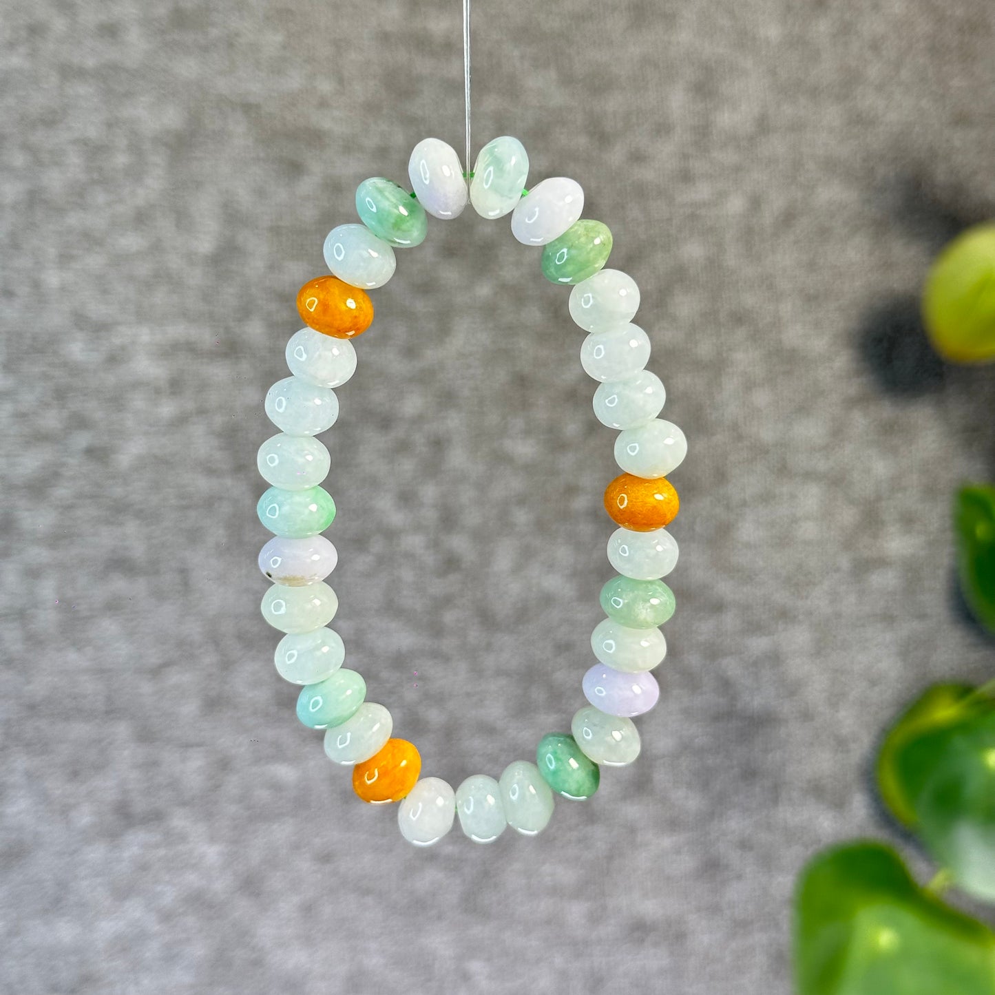 Multi Colour Natural Jadeite Jade VIP Donut