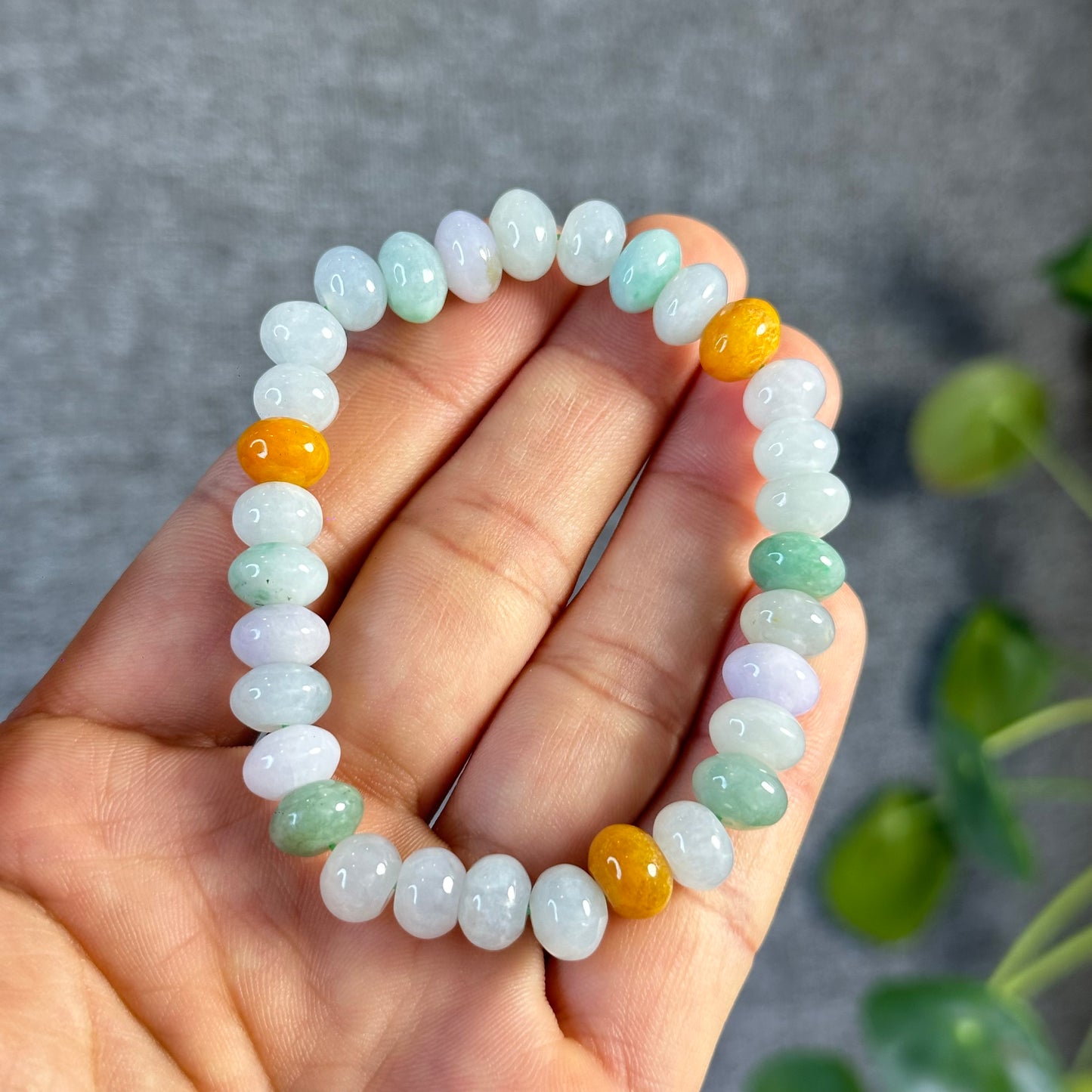 Multi Colour Natural Jadeite Jade VIP Donut
