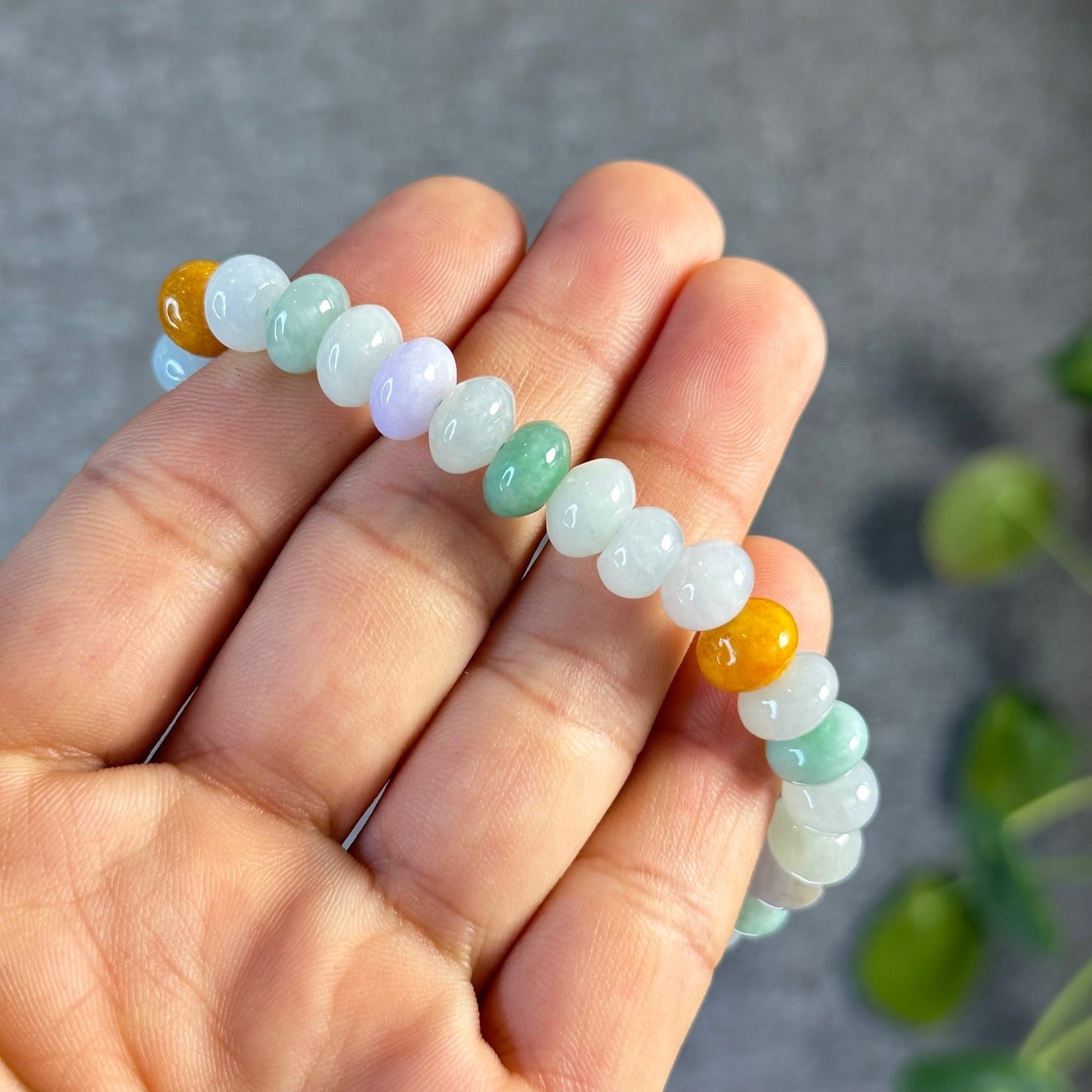 Multi Colour Natural Jadeite Jade VIP Donut