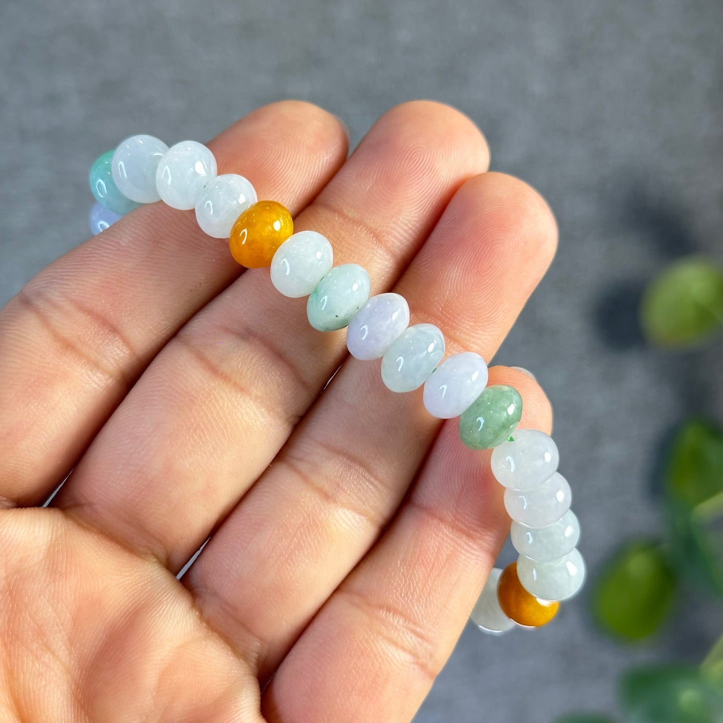 Multi Colour Natural Jadeite Jade VIP Donut