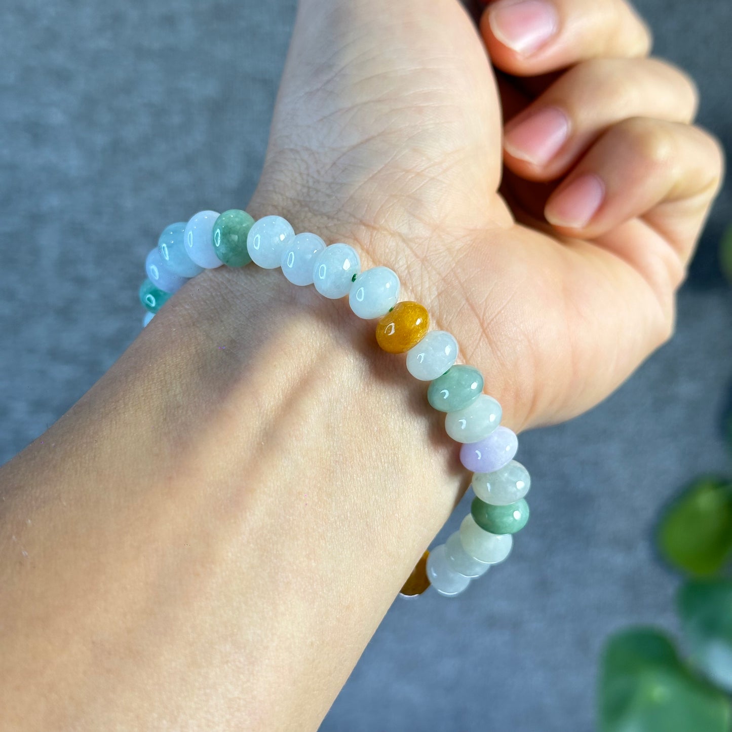 Multi Colour Natural Jadeite Jade VIP Donut