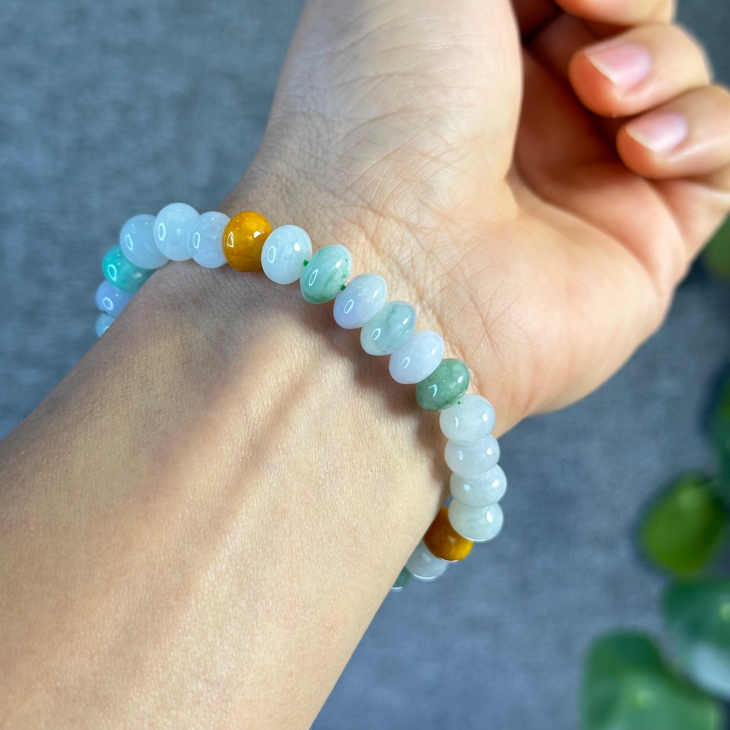Multi Colour Natural Jadeite Jade VIP Donut