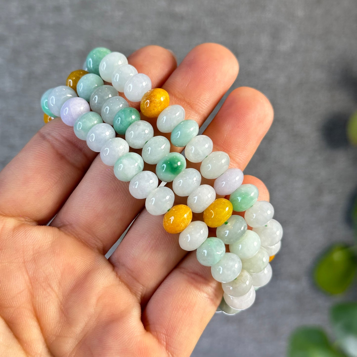 Multi Colour Natural Jadeite Jade VIP Donut