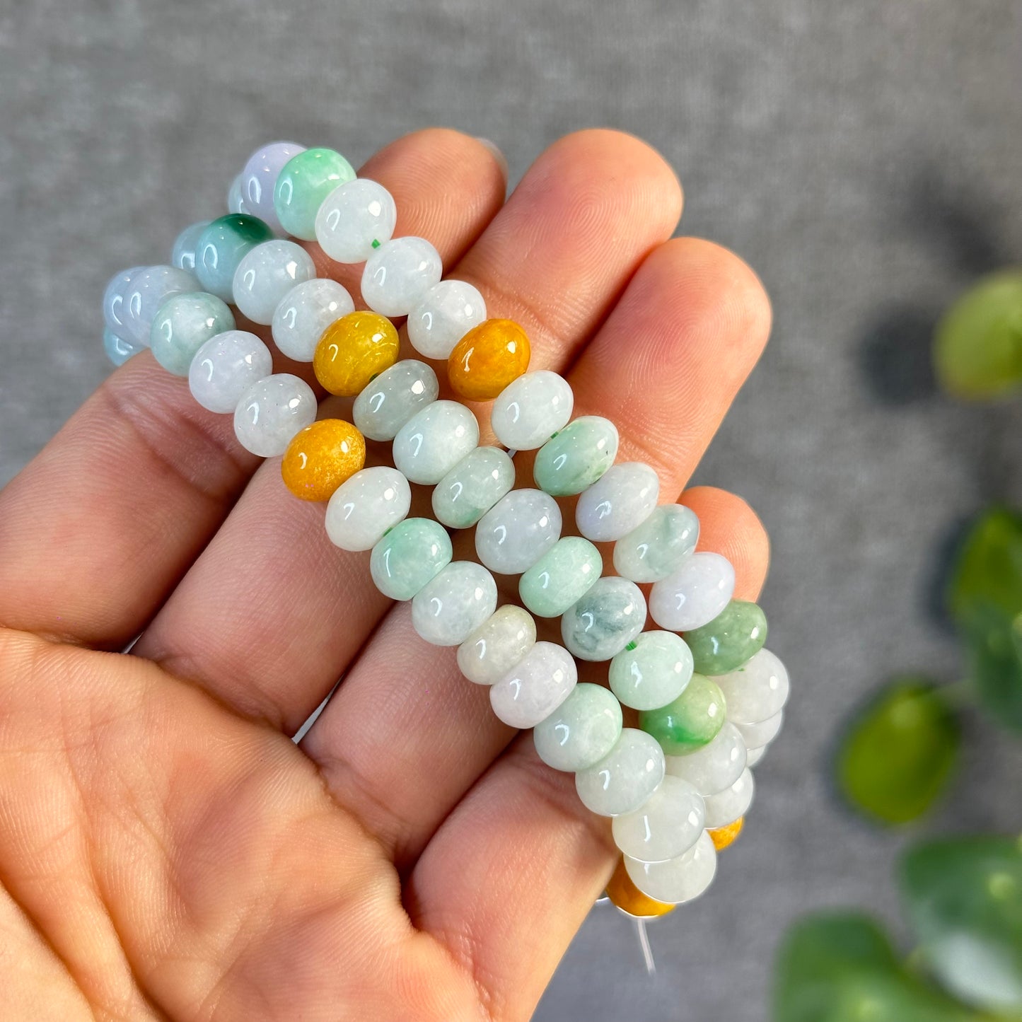 Multi Colour Natural Jadeite Jade VIP Donut