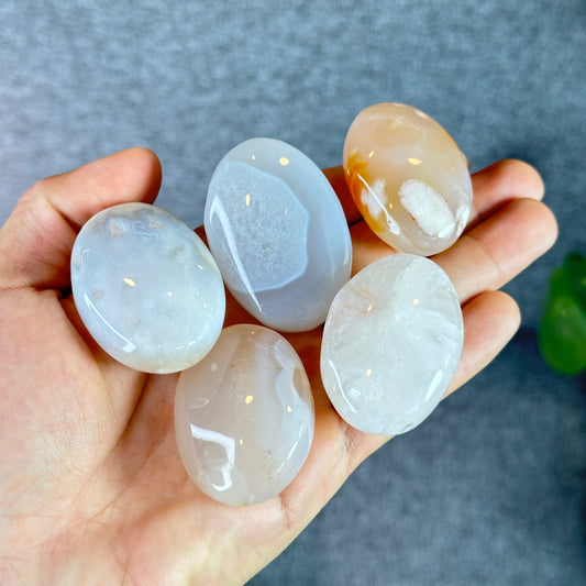 Agate Palm Stone | Toronto Gemstone Store
