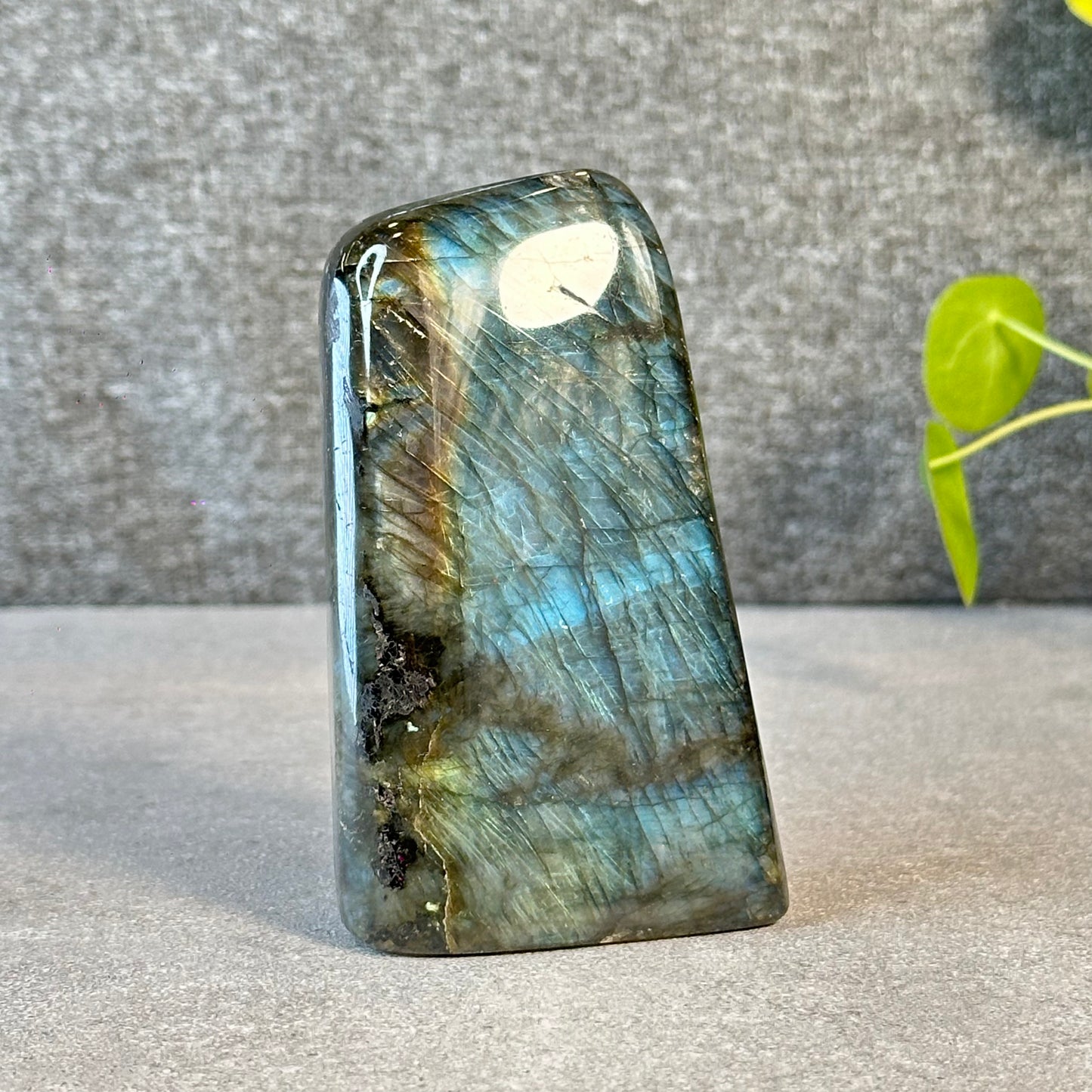 Natural Labradolite Free Form