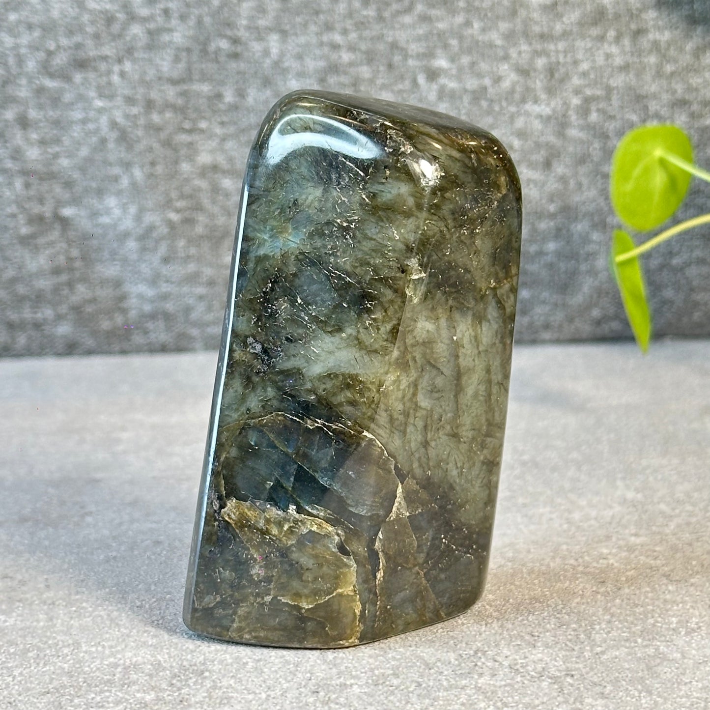 Natural Labradolite Free Form
