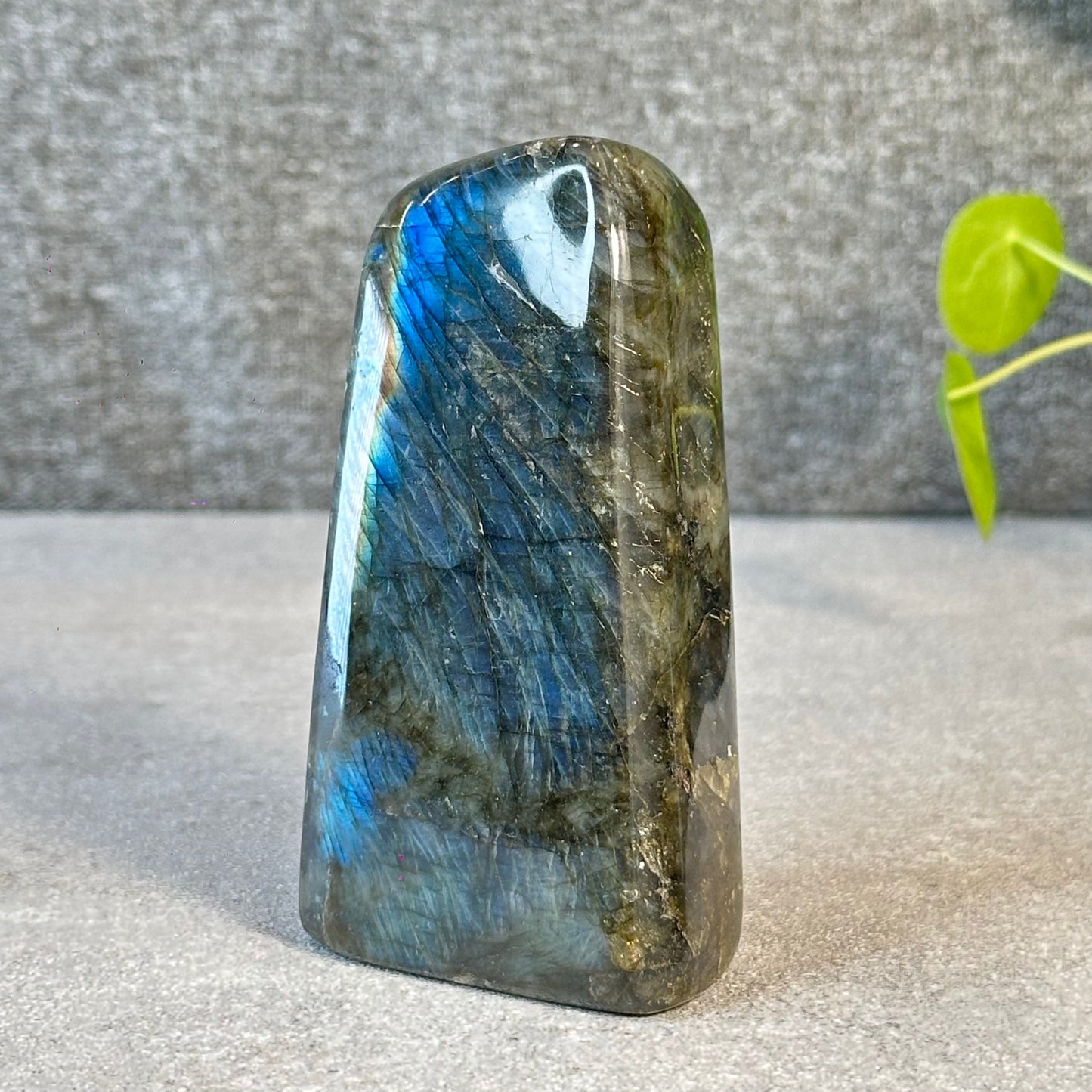 Natural Labradolite Free Form