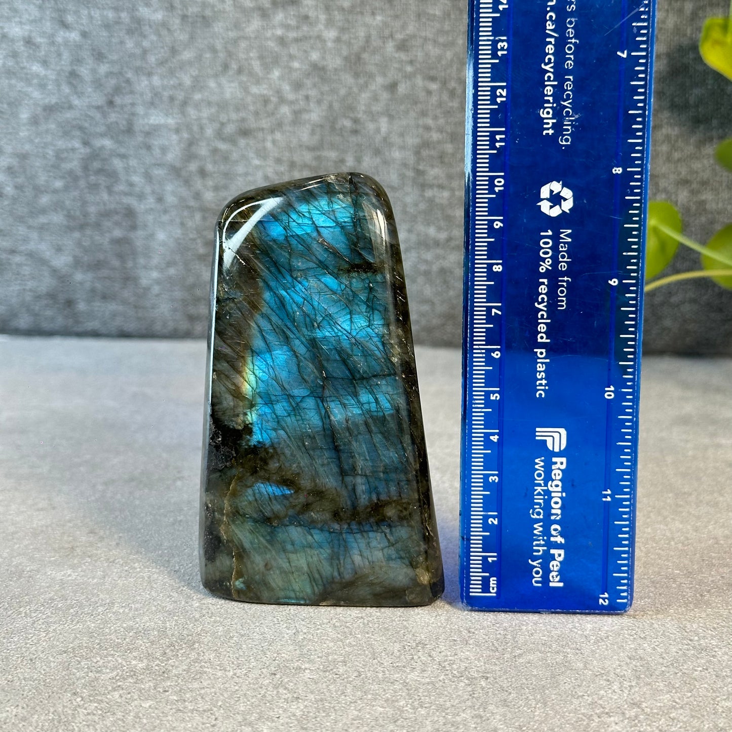 Natural Labradolite Free Form