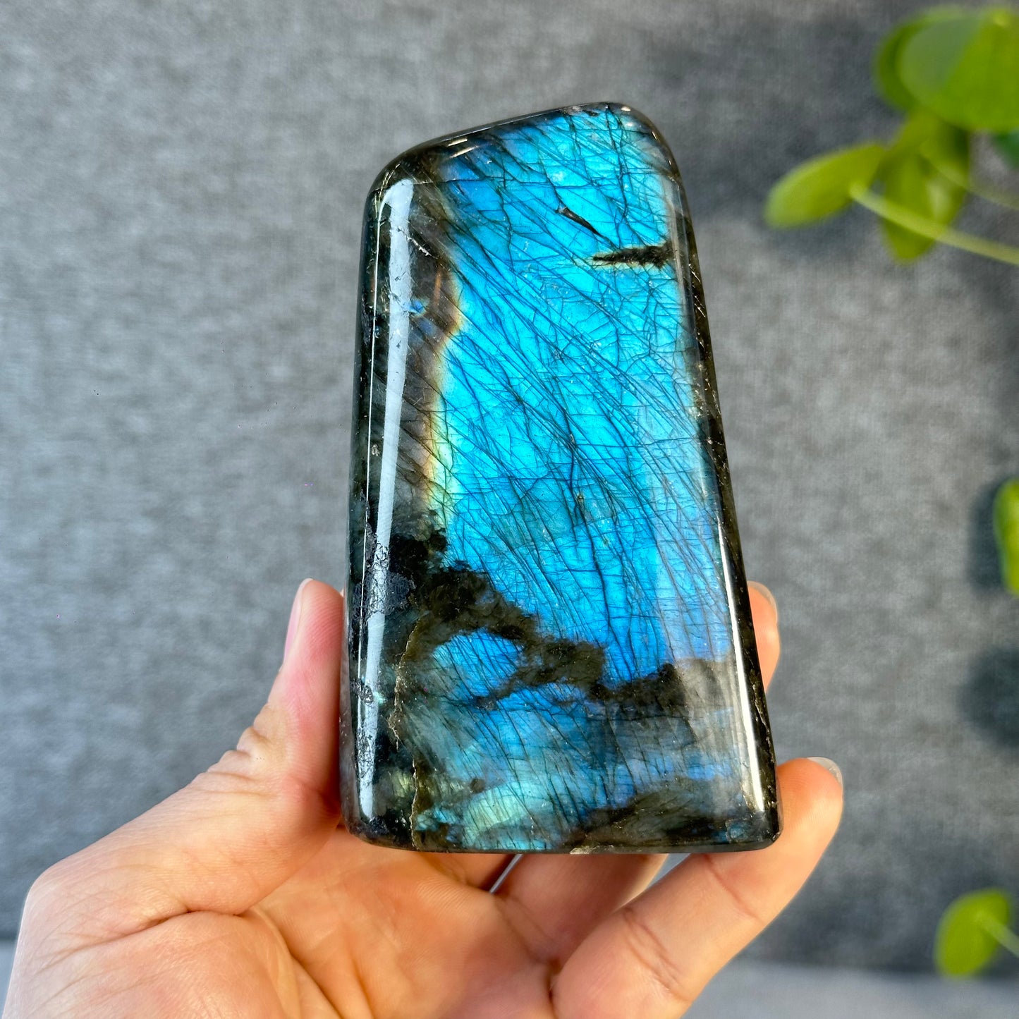 Natural Labradolite Free Form