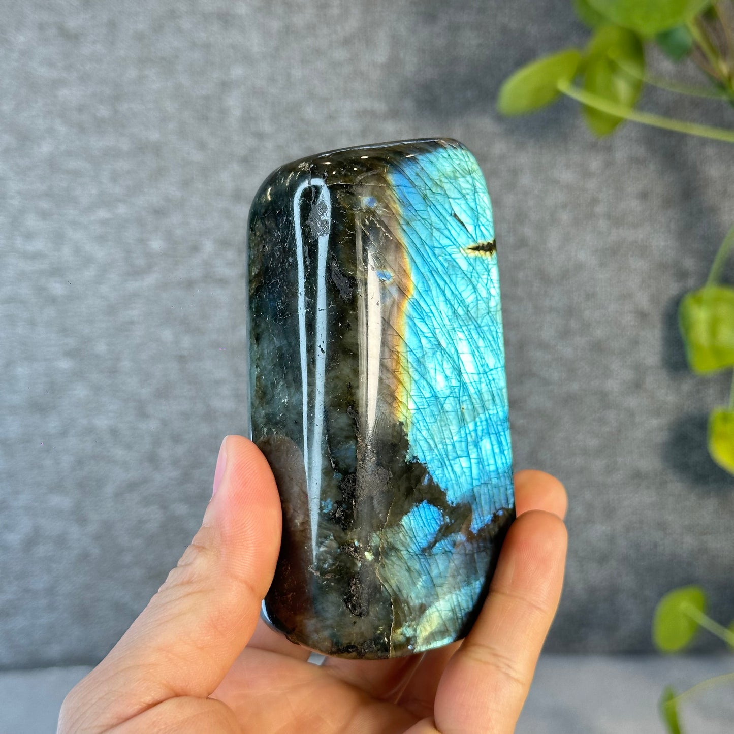 Natural Labradolite Free Form