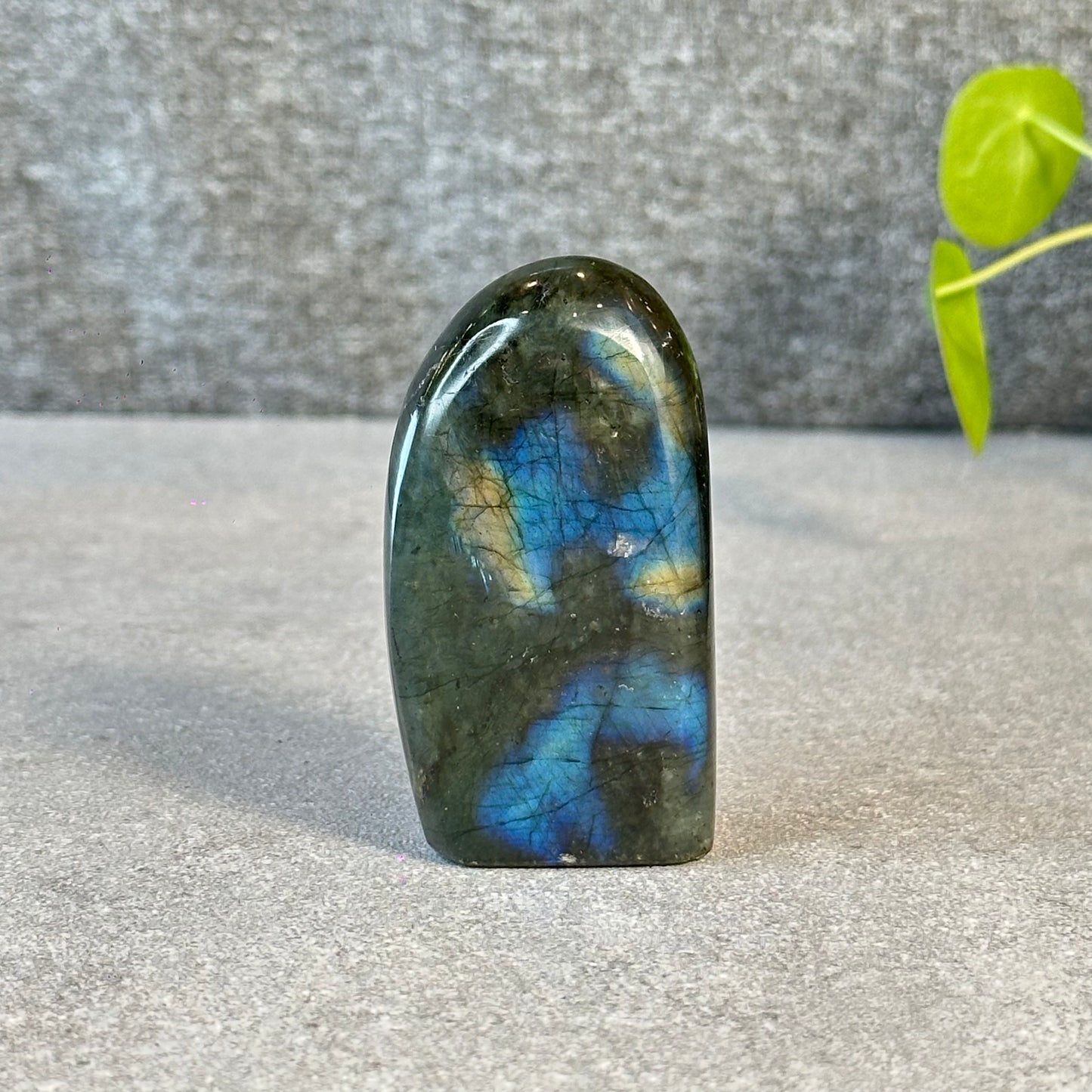Natural Labradolite Free Form