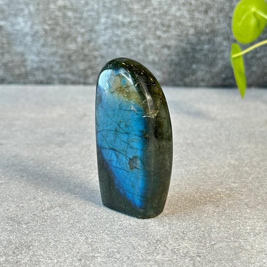 Natural Labradolite Free Form