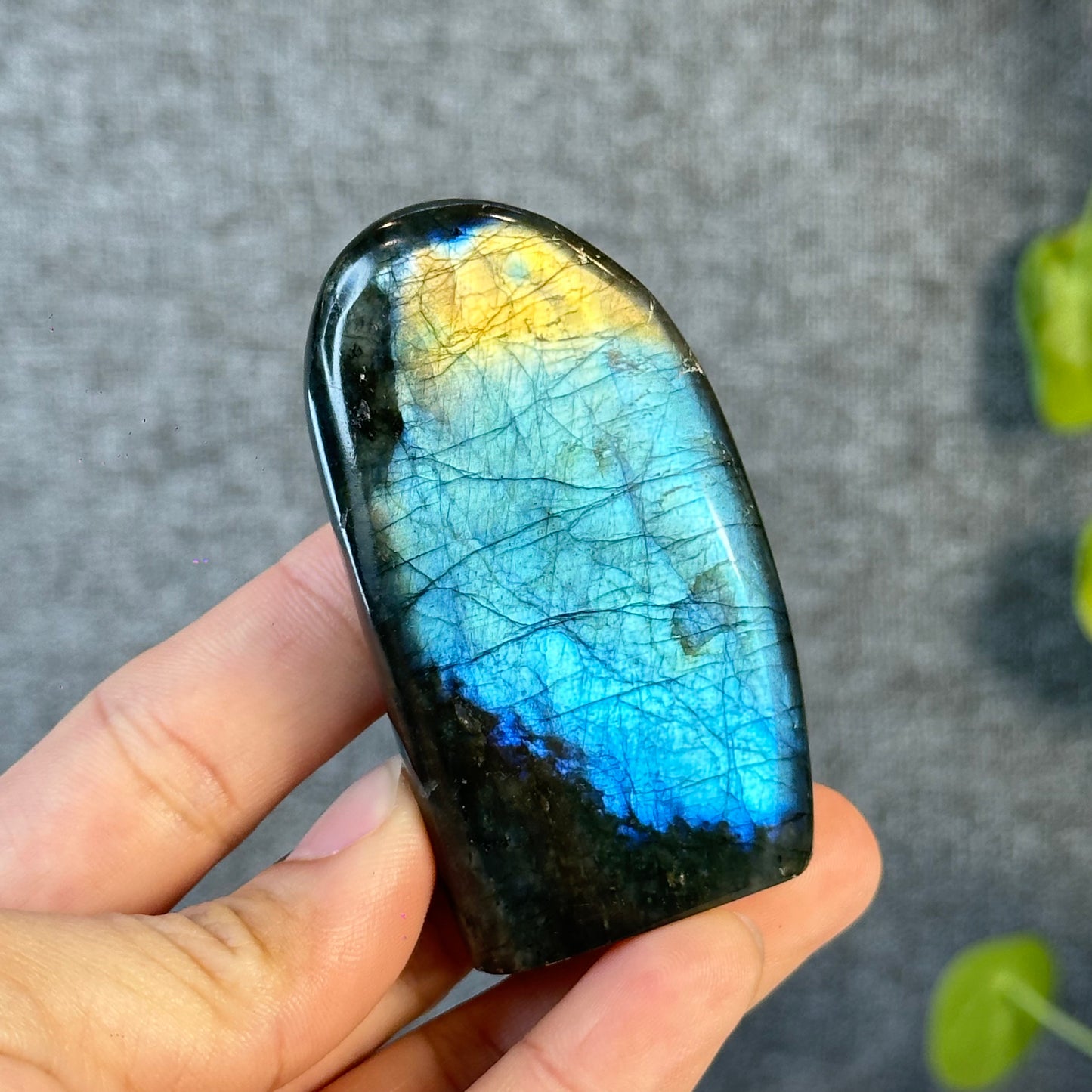 Natural Labradolite Free Form