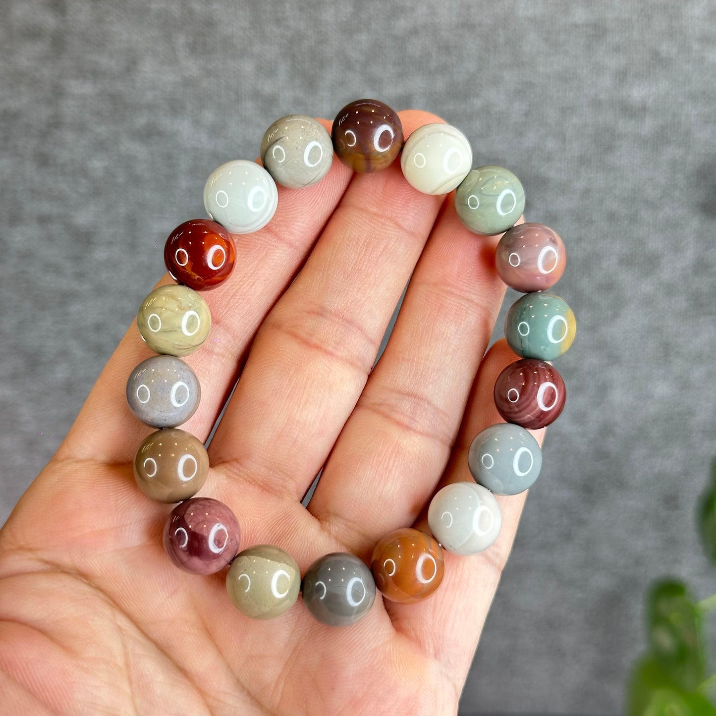 Multi Colour Natural Alashan Agate Bracelet Size 11.5 mm