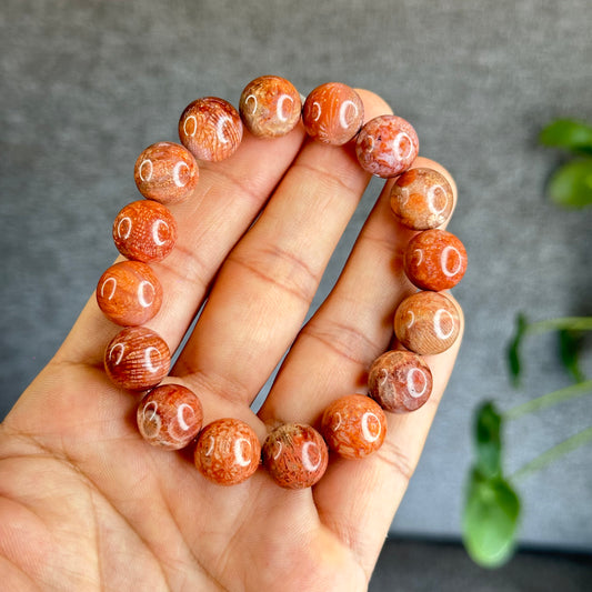 Natural Coral Fossil Bracelet Size 12.8 mm