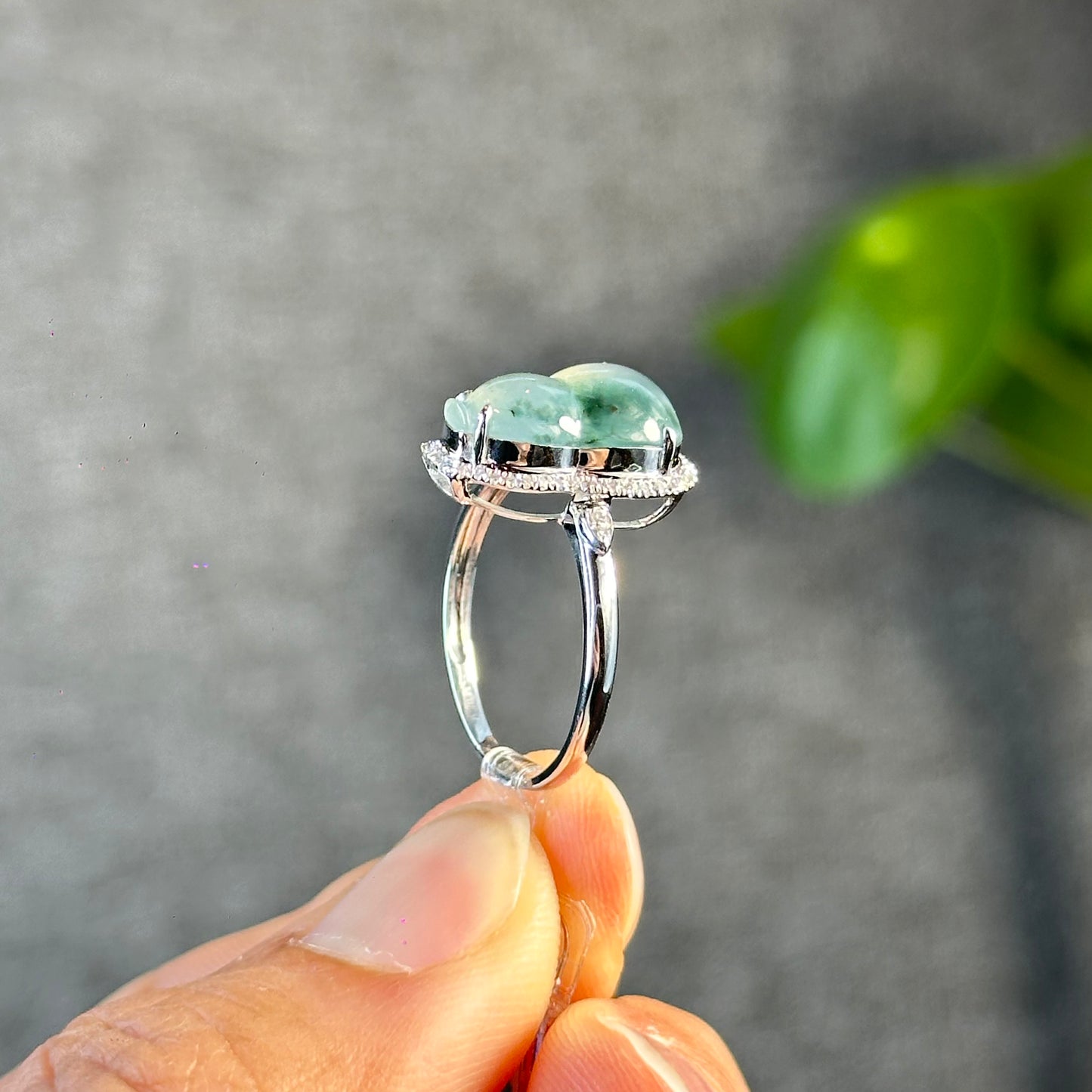 Ho Lo Natural Jadeite Jade Ring in White Gold with Diamond Setting Size 1.85