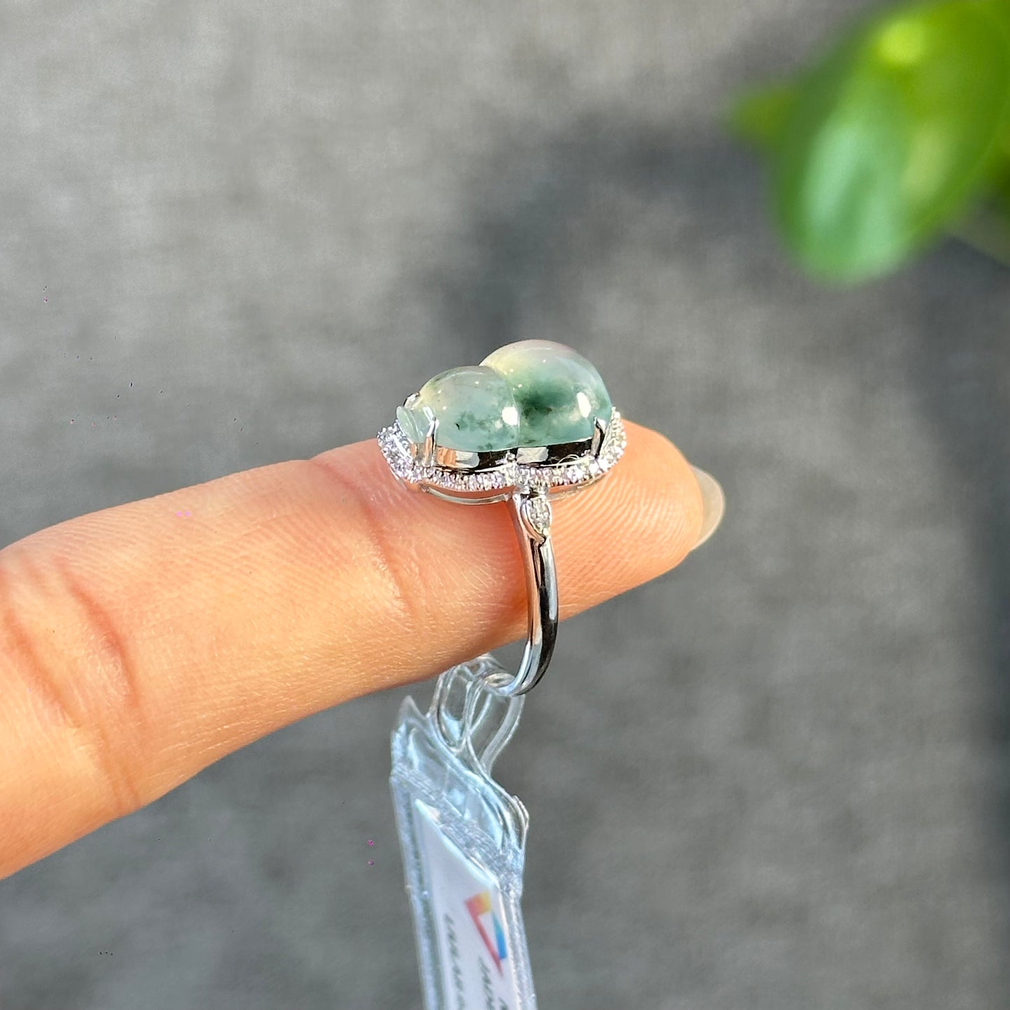 Ho Lo Natural Jadeite Jade Ring in White Gold with Diamond Setting Size 1.85