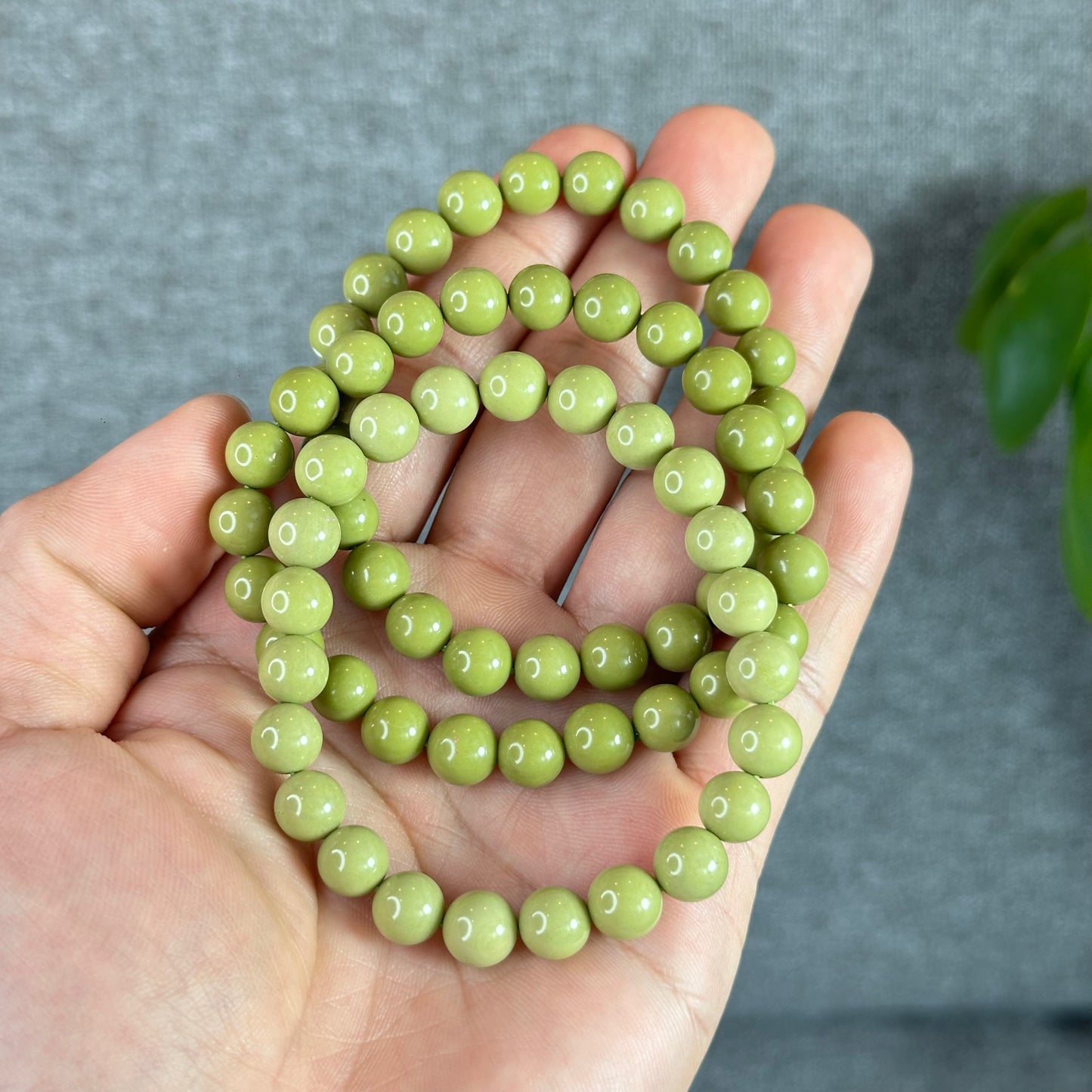 Natural Pastel Green Alashan Agate Bracelet Size 8 mm