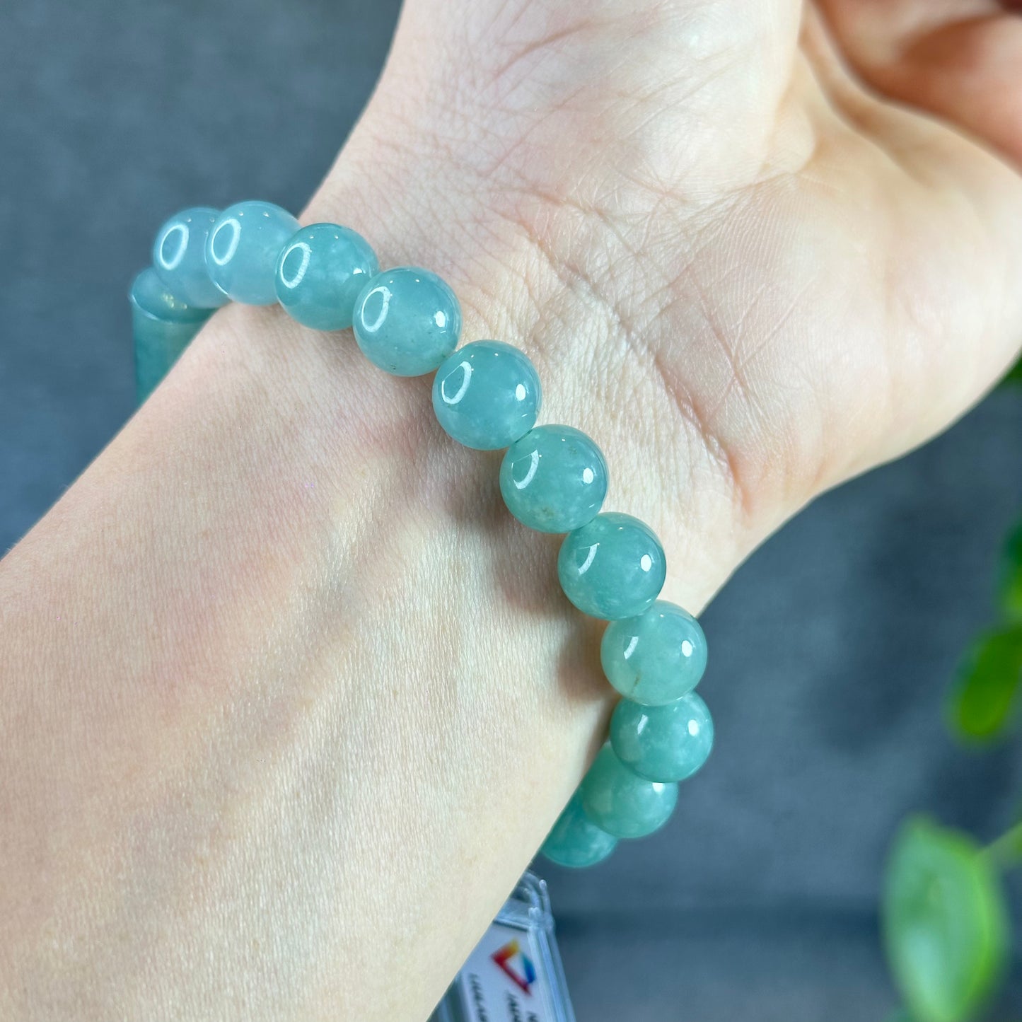 Water Green Mixed Lu Thong Natural Jadeite Jade Bracelet Size 10 mm