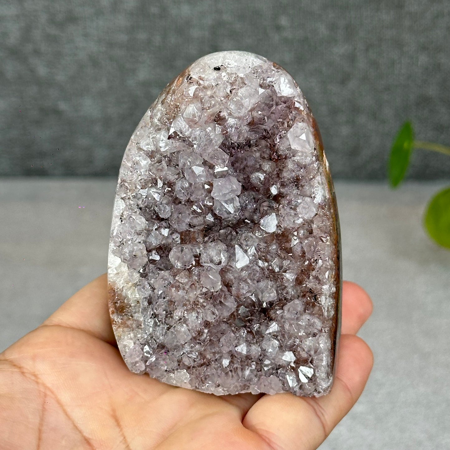 Polished Natural Bi-Colour Amethyst Cut Base